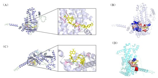 Biomolecules 15 01496 g005
