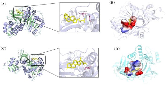 Biomolecules 15 01496 g006