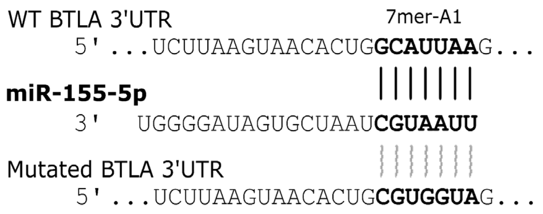 Biomolecules 15 01499 g005