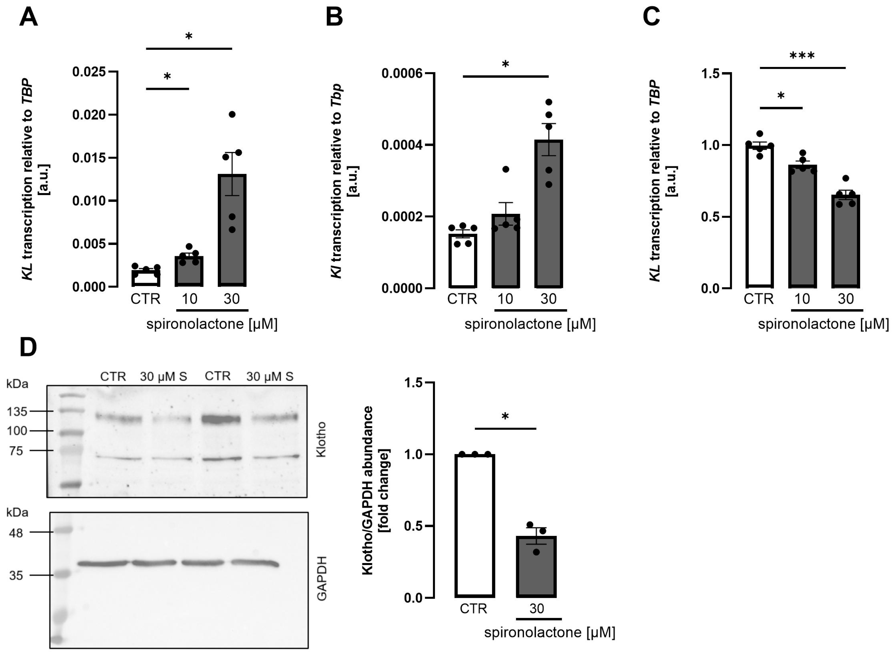 Biomolecules 15 01509 g002 Biomolecules 15 01509 g002