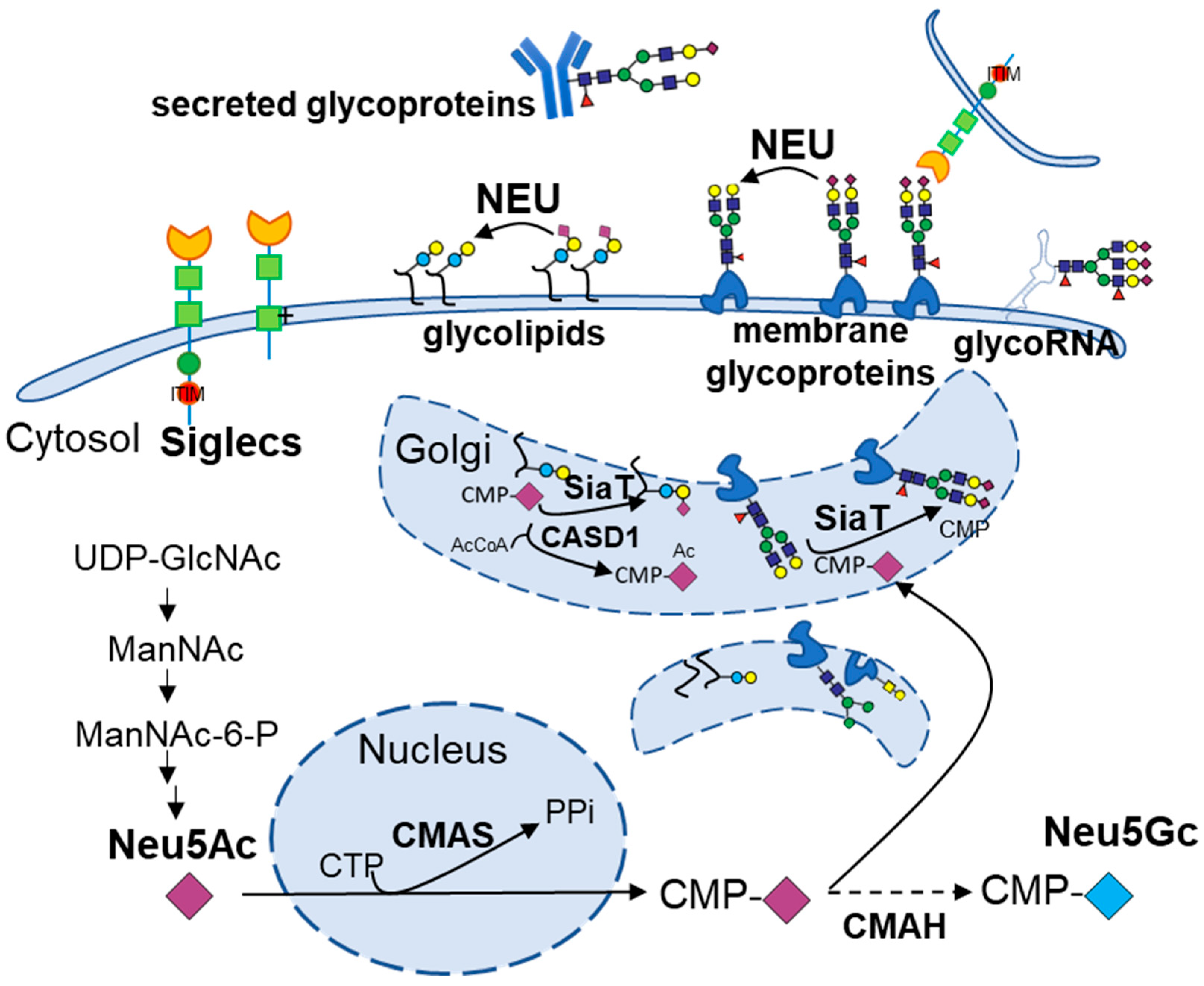 Biomolecules 15 01522 g001