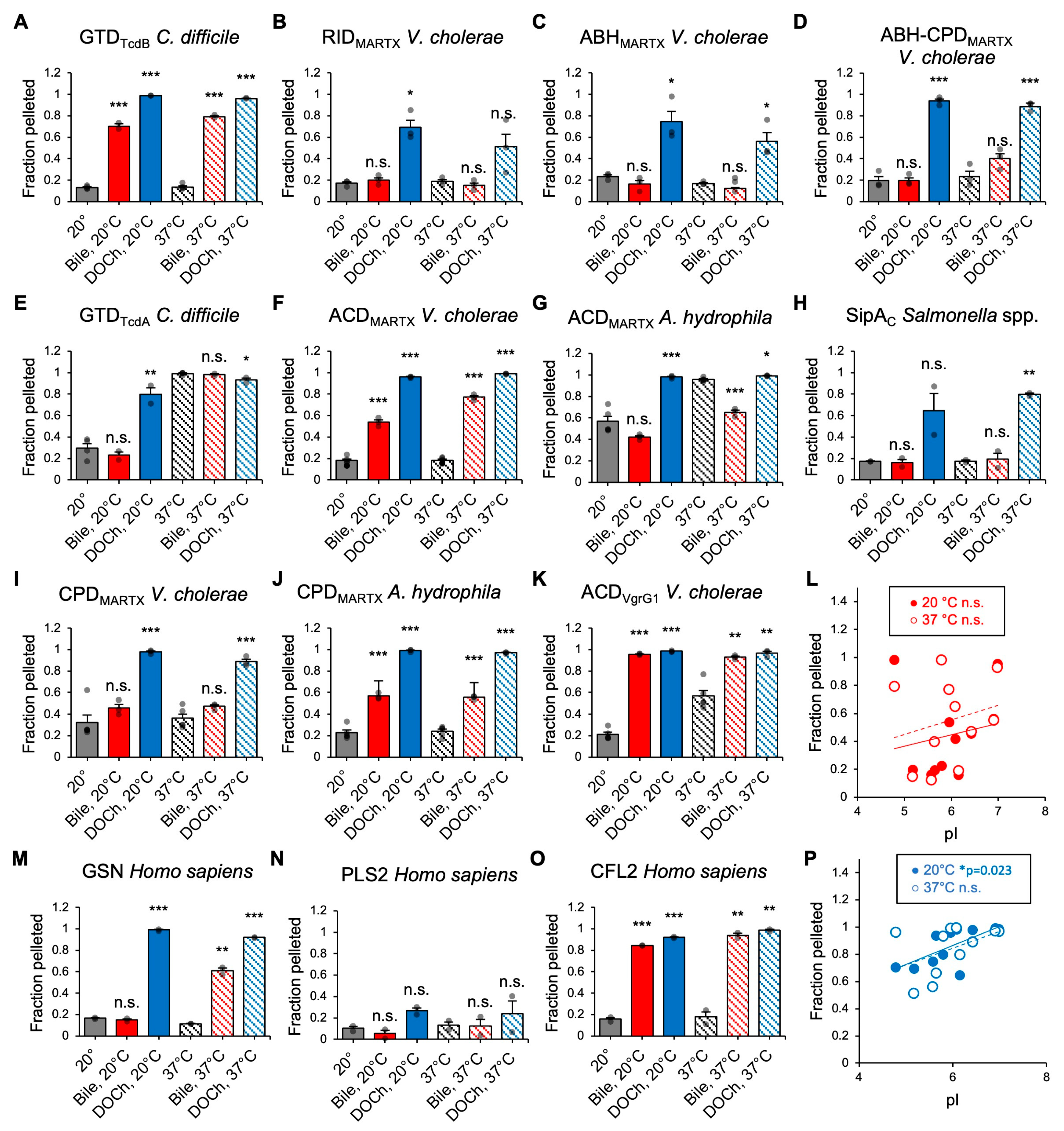 Biomolecules 15 01539 g006 Biomolecules 15 01539 g006