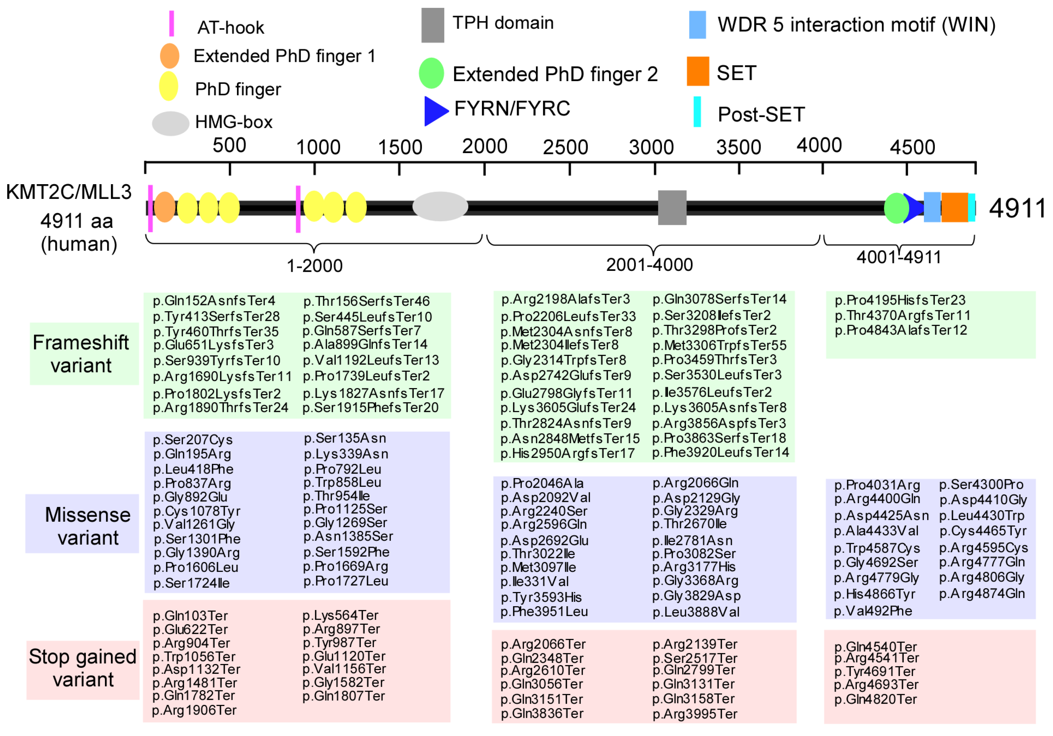 Biomolecules 15 01547 g002 Biomolecules 15 01547 g002