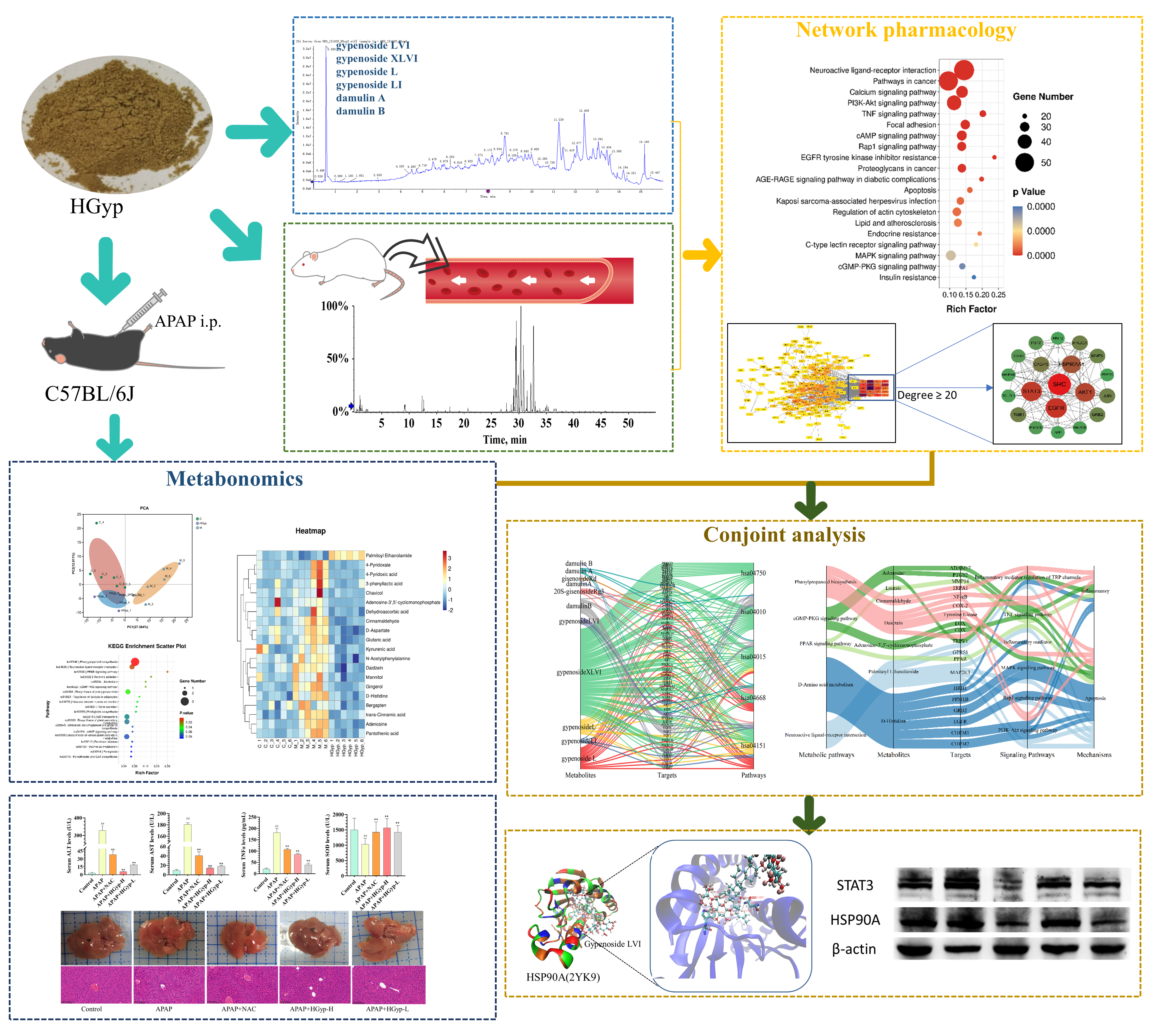 Biomolecules 15 01555 g001 Biomolecules 15 01555 g001
