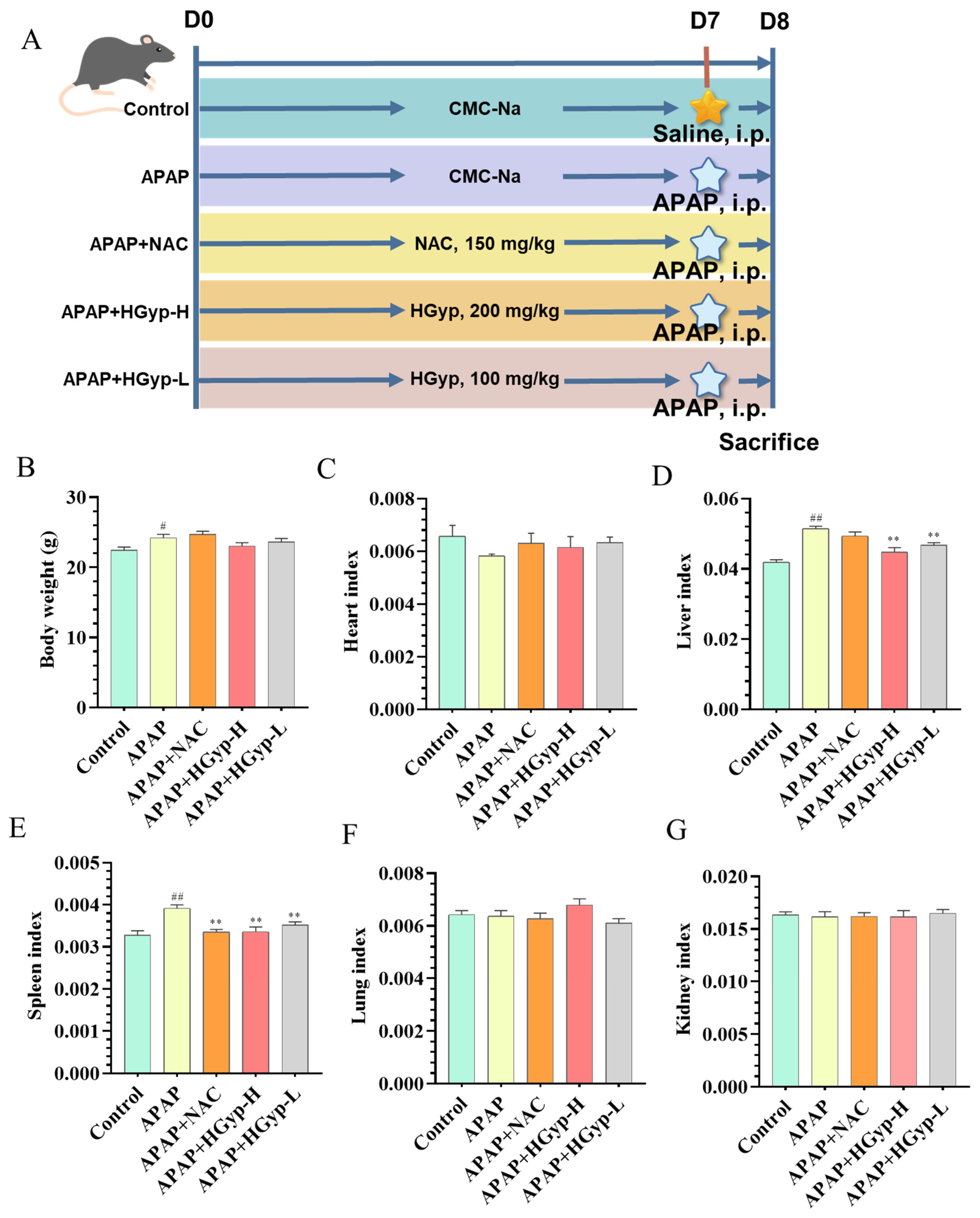 Biomolecules 15 01555 g003 Biomolecules 15 01555 g003
