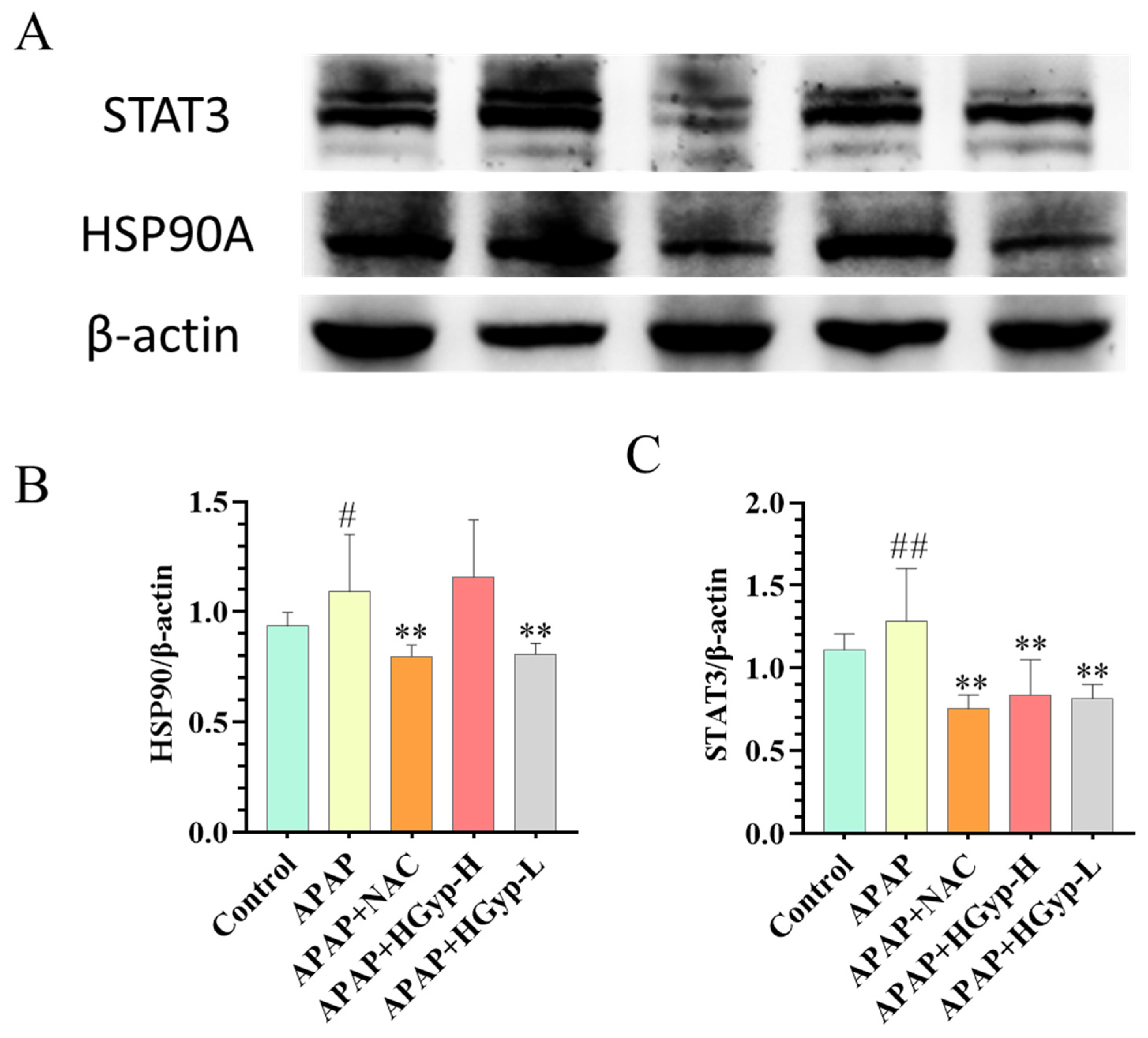 Biomolecules 15 01555 g012 Biomolecules 15 01555 g012