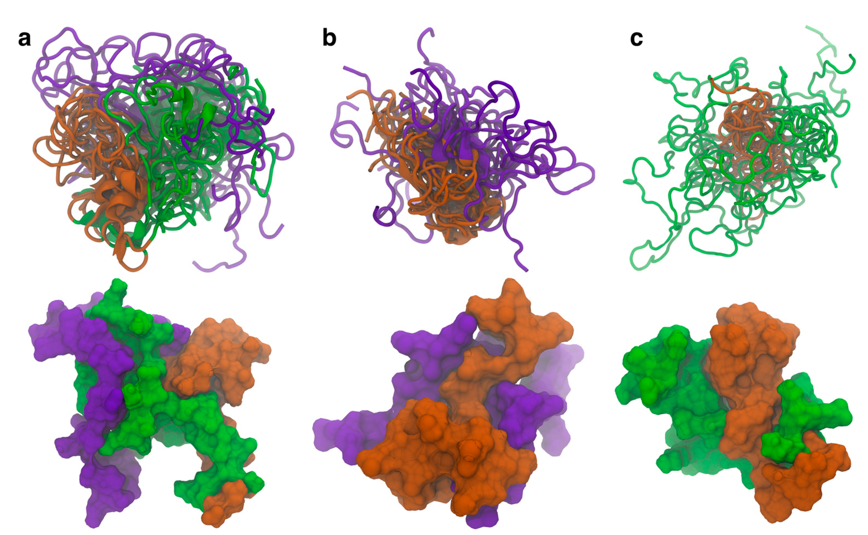Biomolecules 15 01577 g002 Biomolecules 15 01577 g002