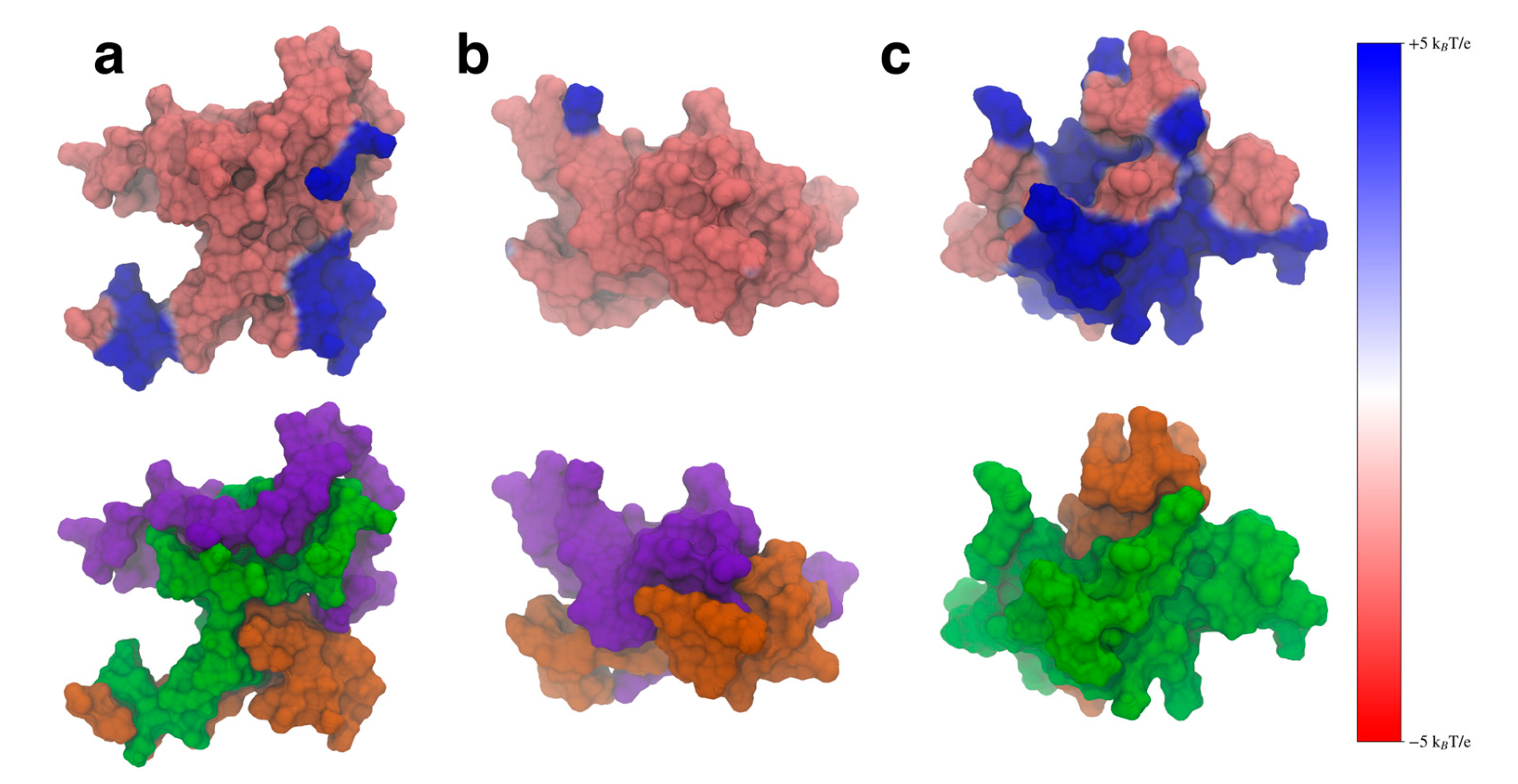 Biomolecules 15 01577 g010 Biomolecules 15 01577 g010