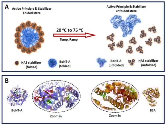 Biomolecules 15 01579 g002