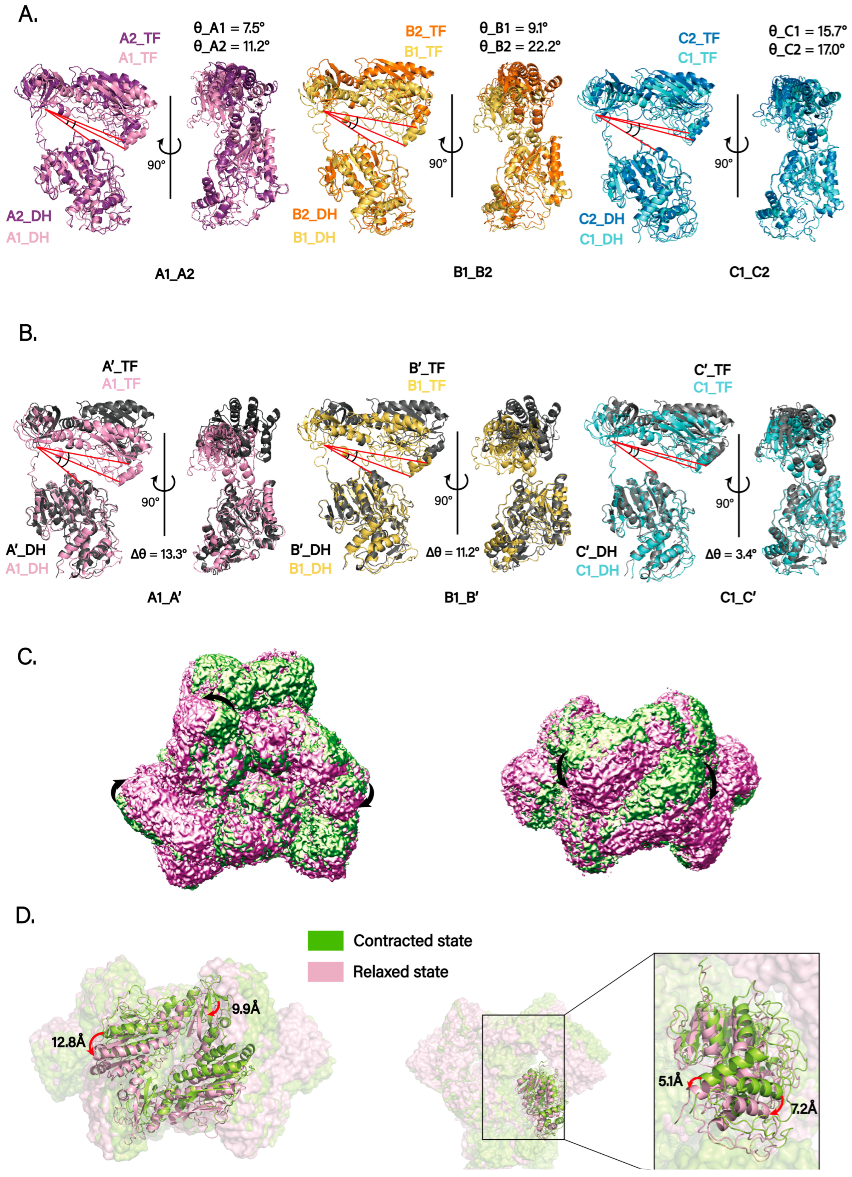 Biomolecules 15 01594 g003 Biomolecules 15 01594 g003