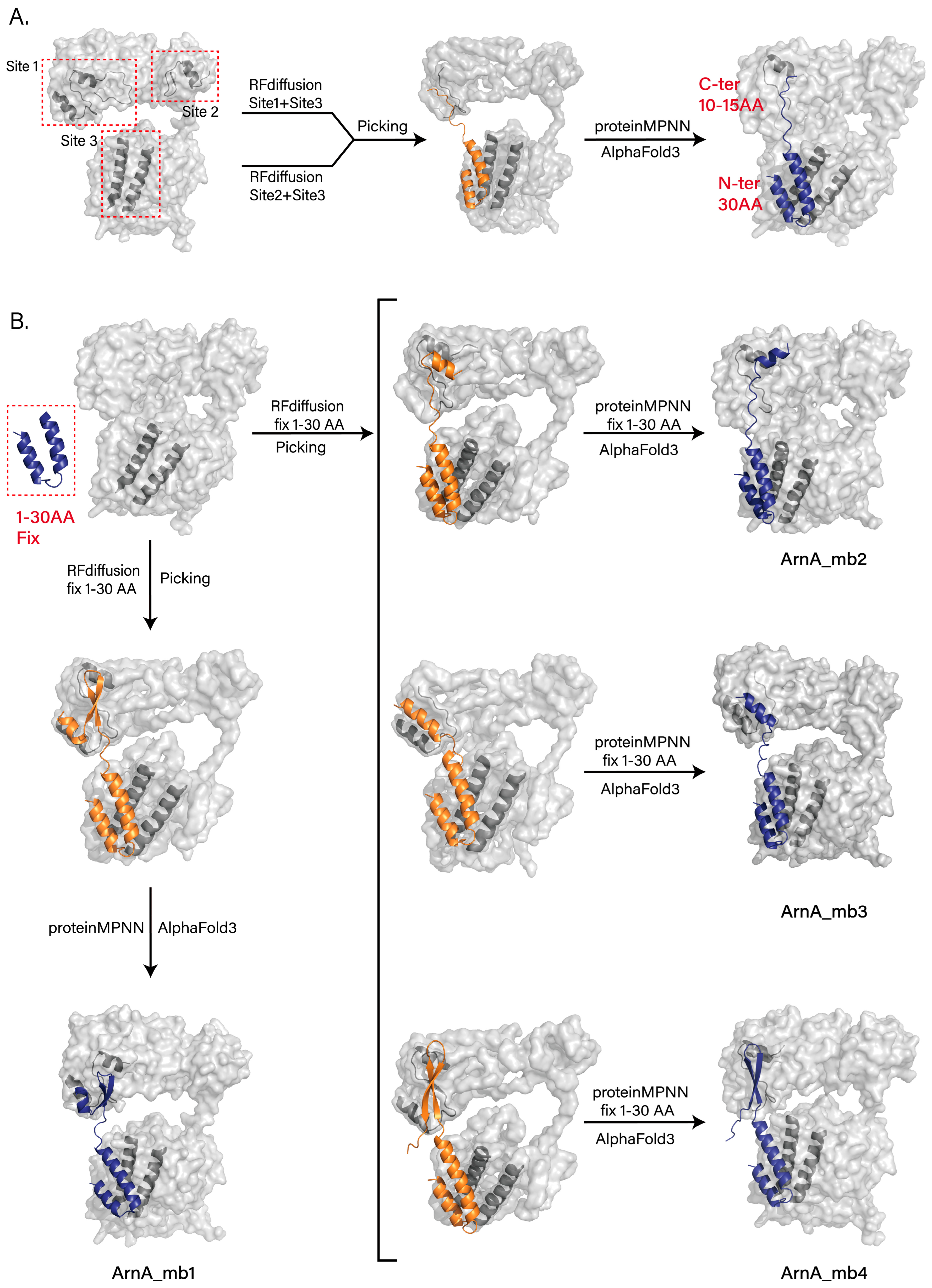 Biomolecules 15 01594 g004 Biomolecules 15 01594 g004