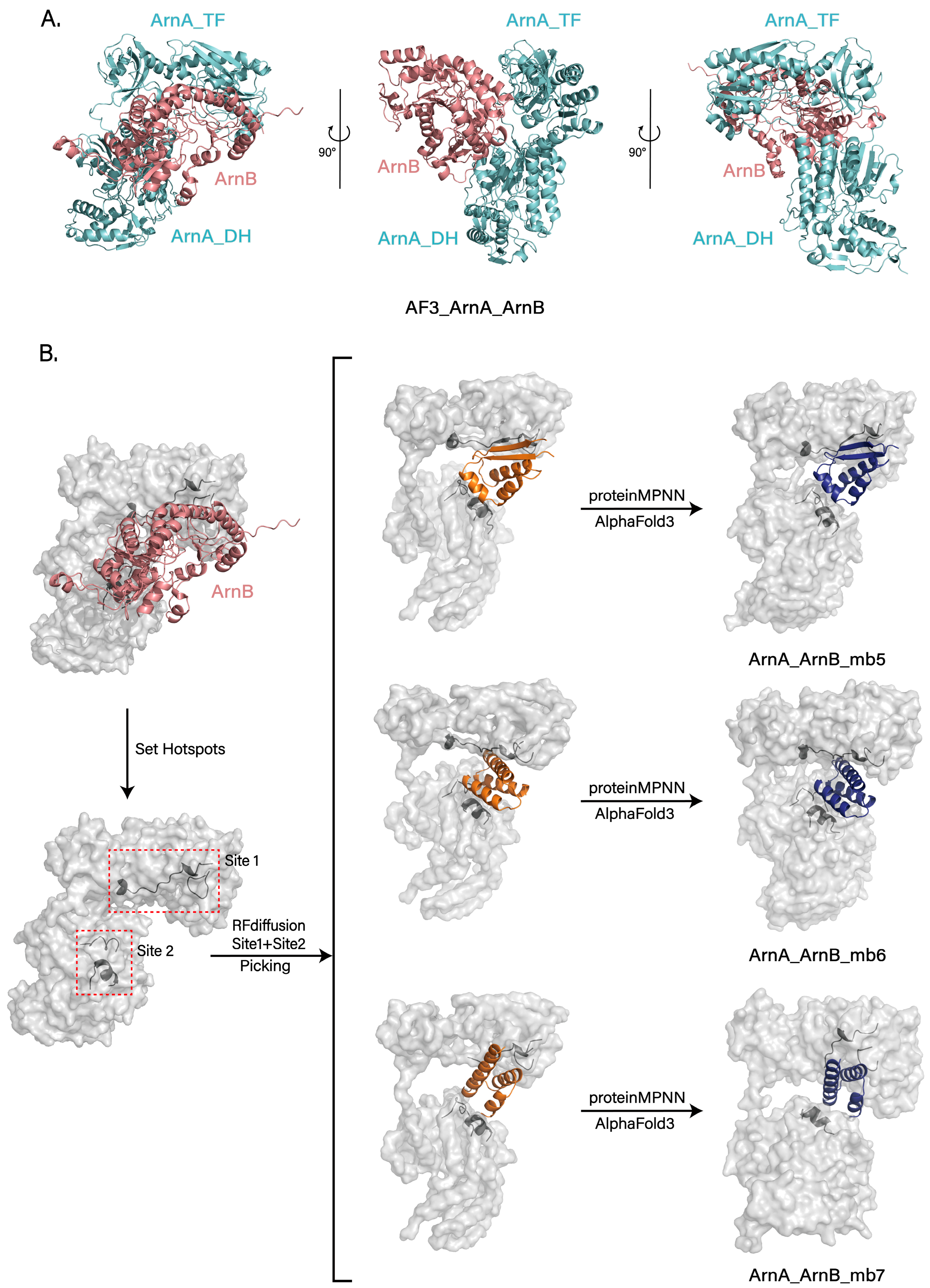 Biomolecules 15 01594 g005 Biomolecules 15 01594 g005