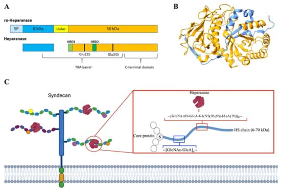 Biomolecules 15 01597 g002