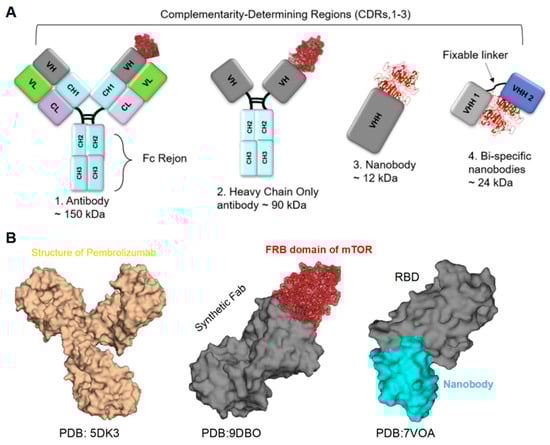 Biomolecules 15 01628 g002