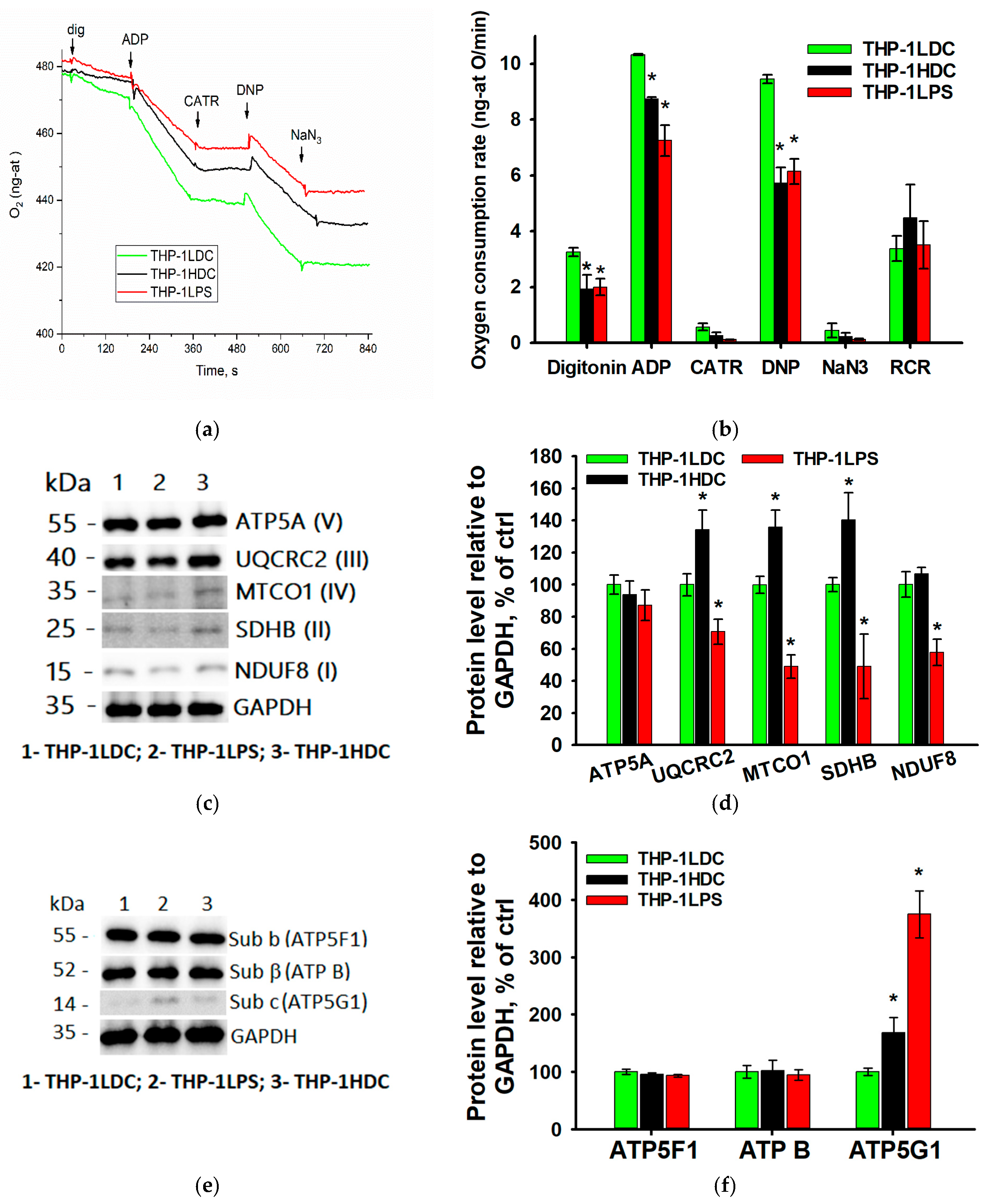 Biomolecules 15 01635 g004
