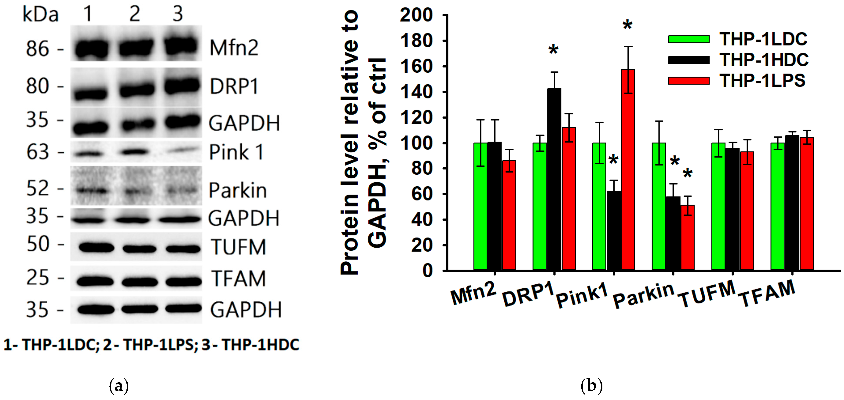 Biomolecules 15 01635 g006