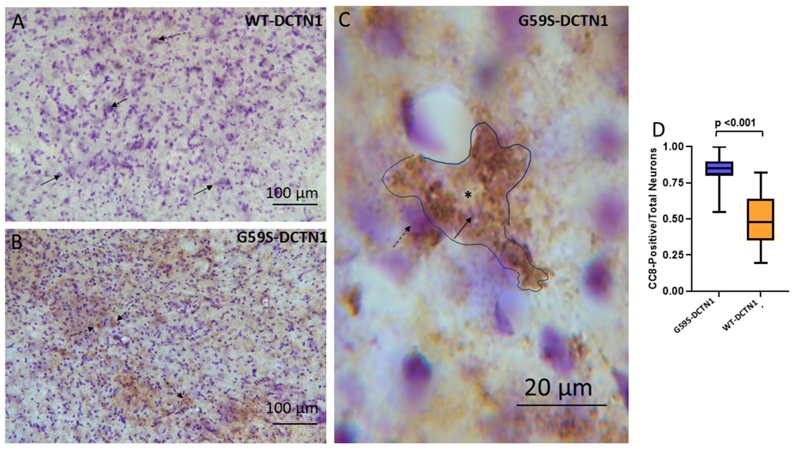 Biomolecules 15 01637 g007 Biomolecules 15 01637 g007