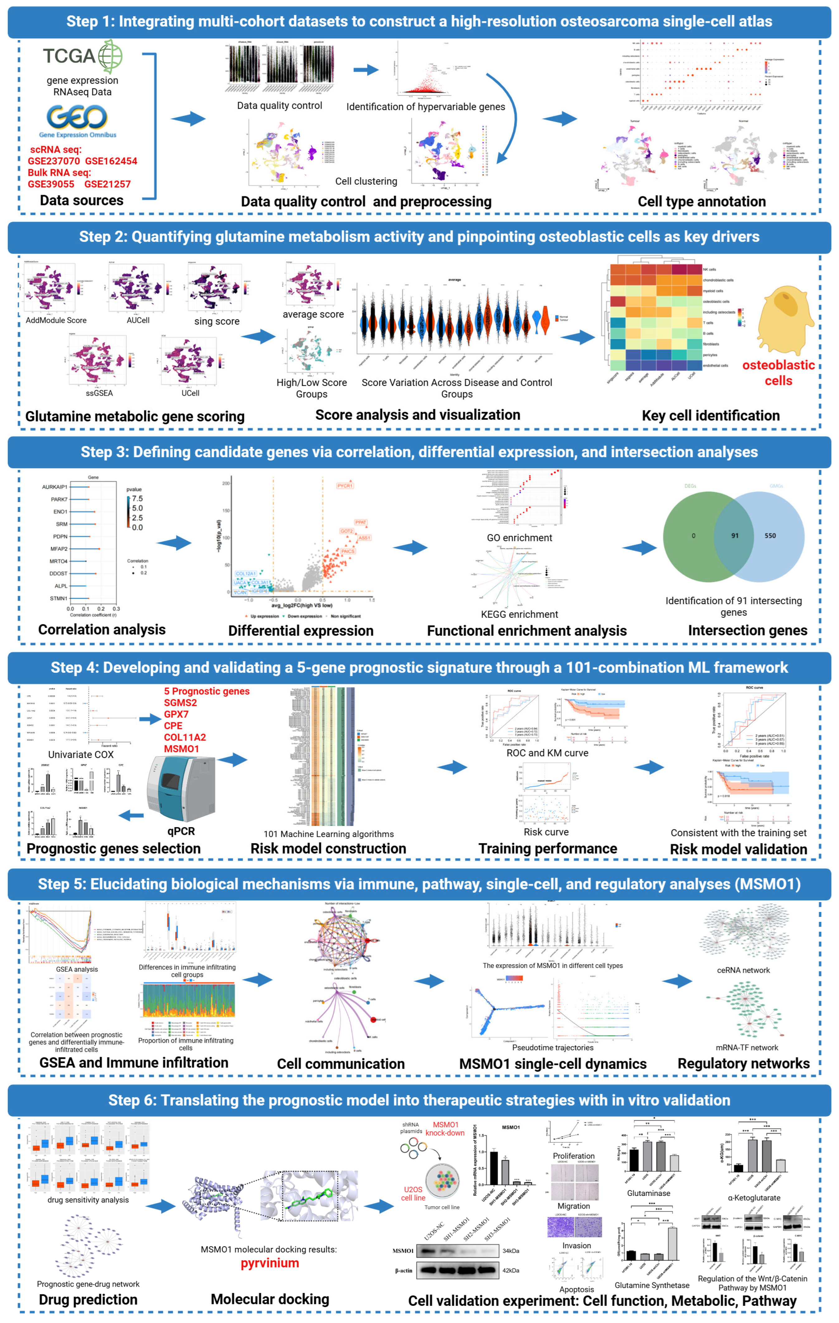 Biomolecules 15 01664 g001 Biomolecules 15 01664 g001