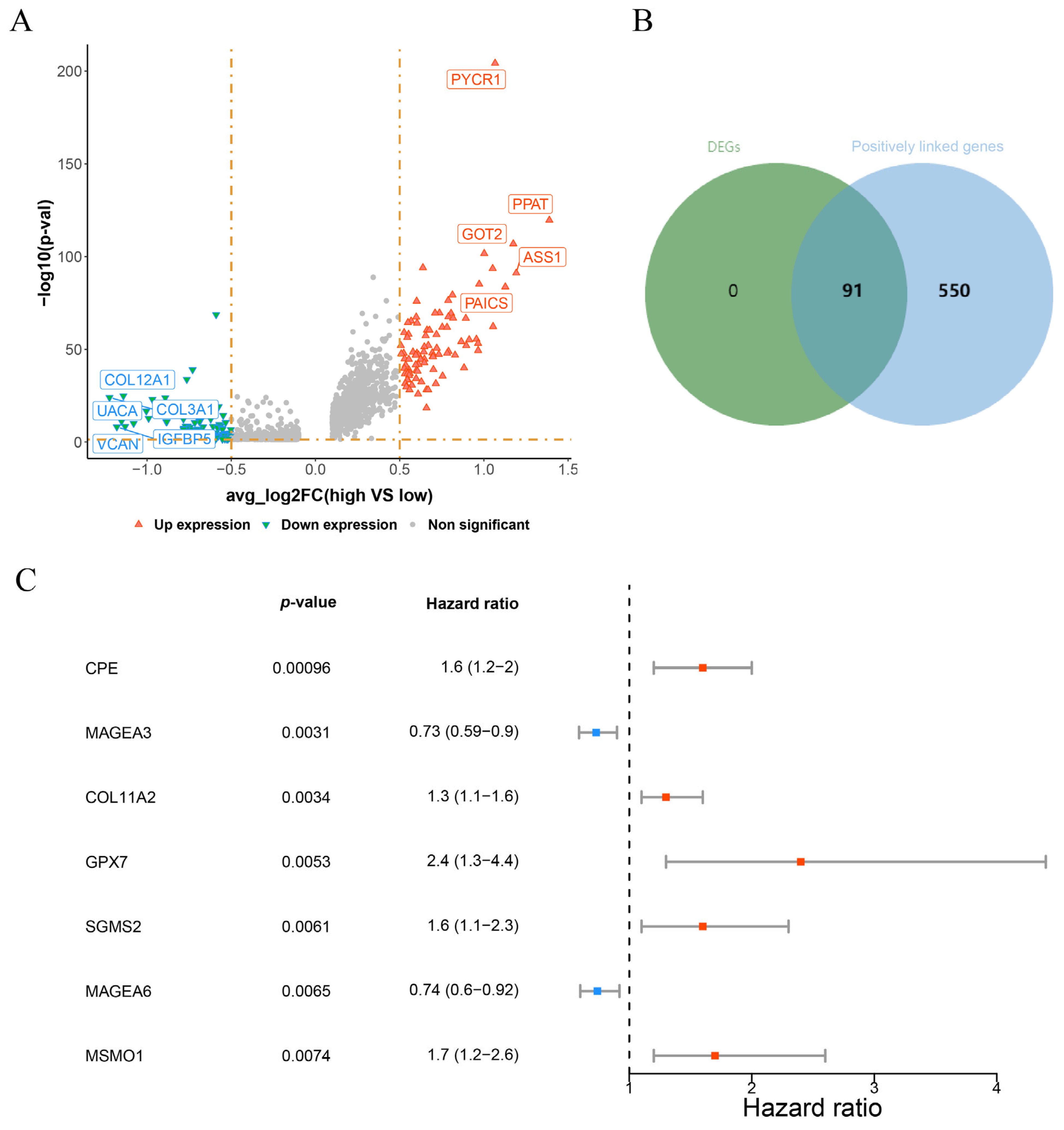 Biomolecules 15 01664 g003 Biomolecules 15 01664 g003
