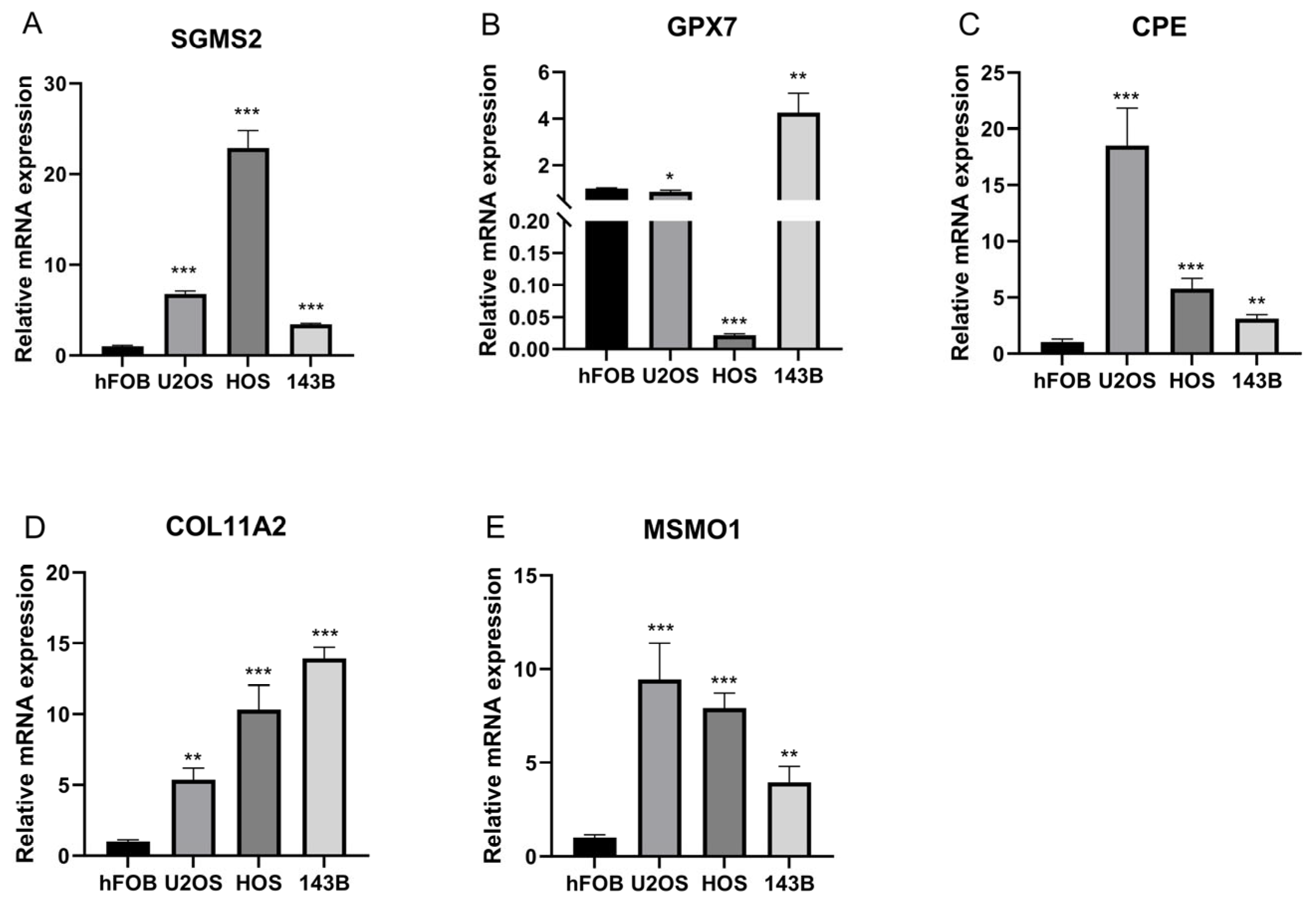 Biomolecules 15 01664 g006 Biomolecules 15 01664 g006