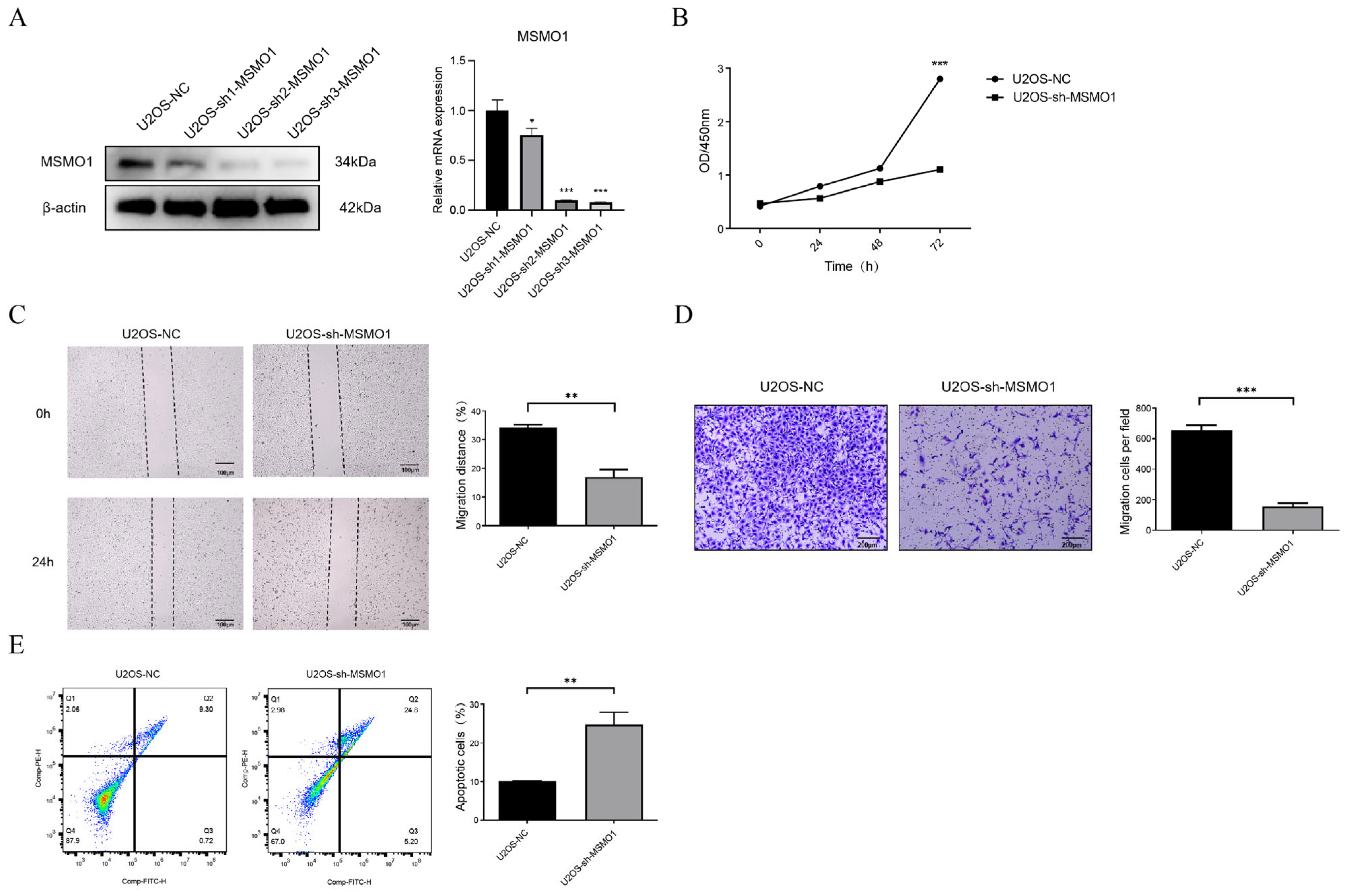 Biomolecules 15 01664 g008 Biomolecules 15 01664 g008