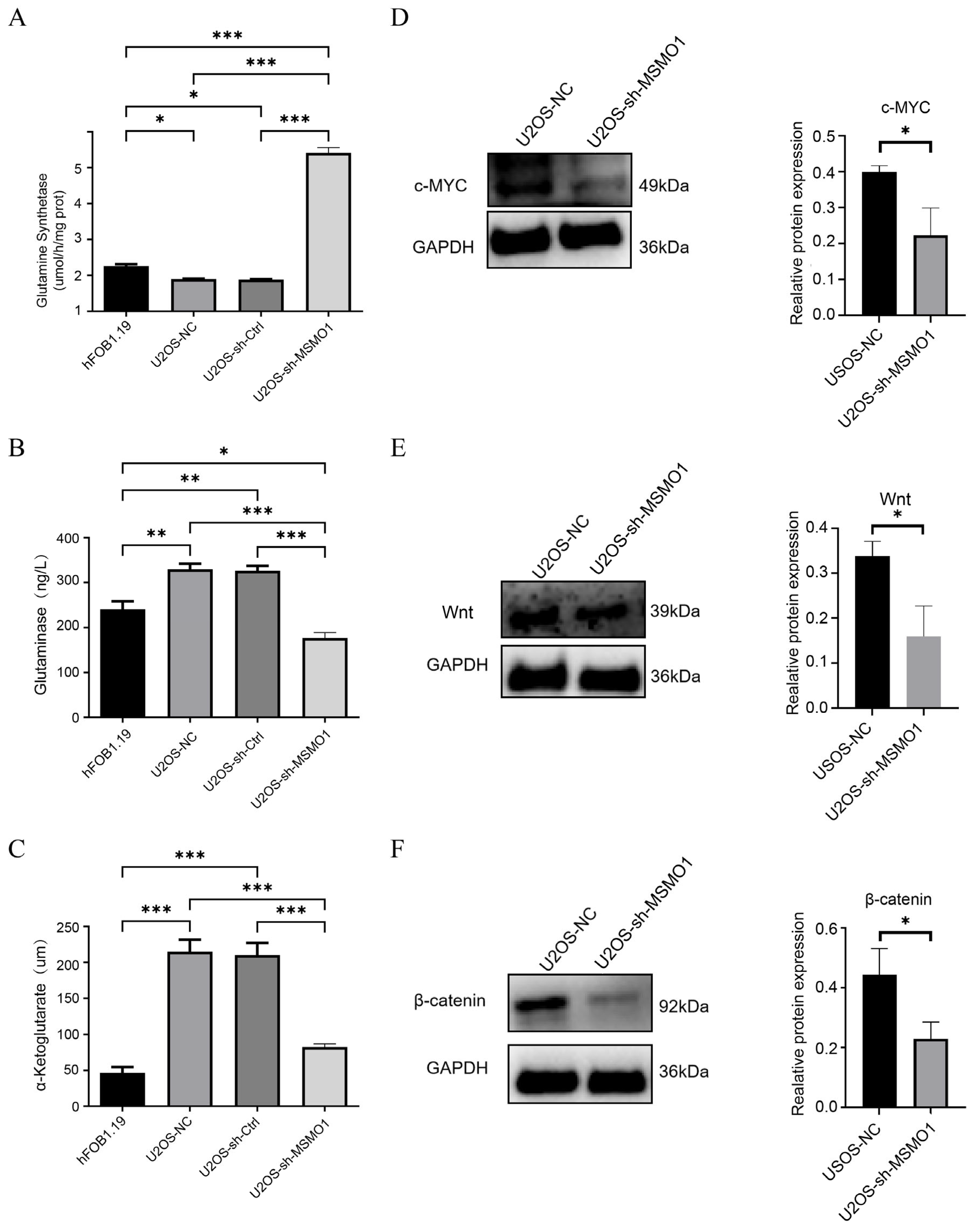 Biomolecules 15 01664 g009 Biomolecules 15 01664 g009