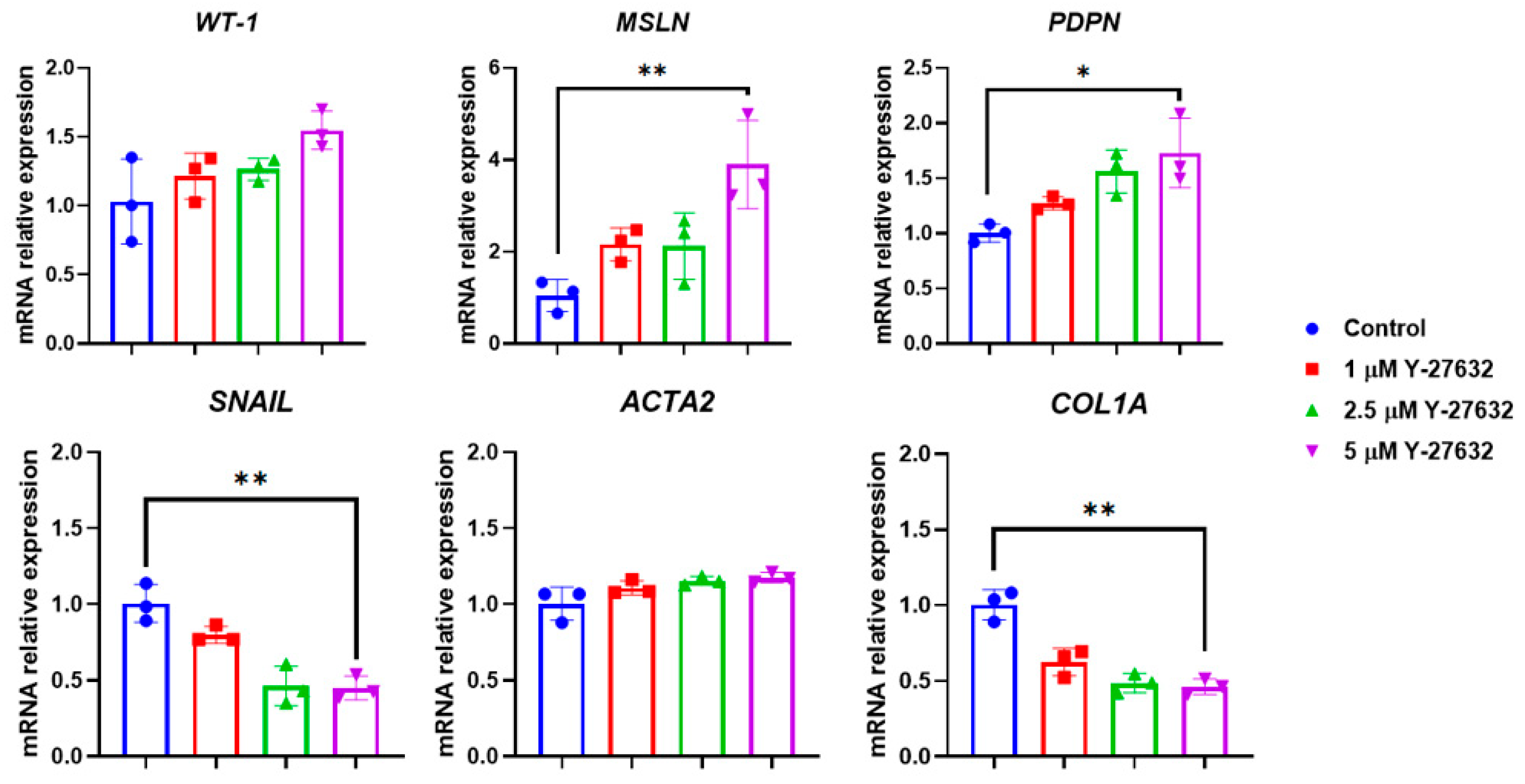 Biomolecules 15 01669 g006 Biomolecules 15 01669 g006