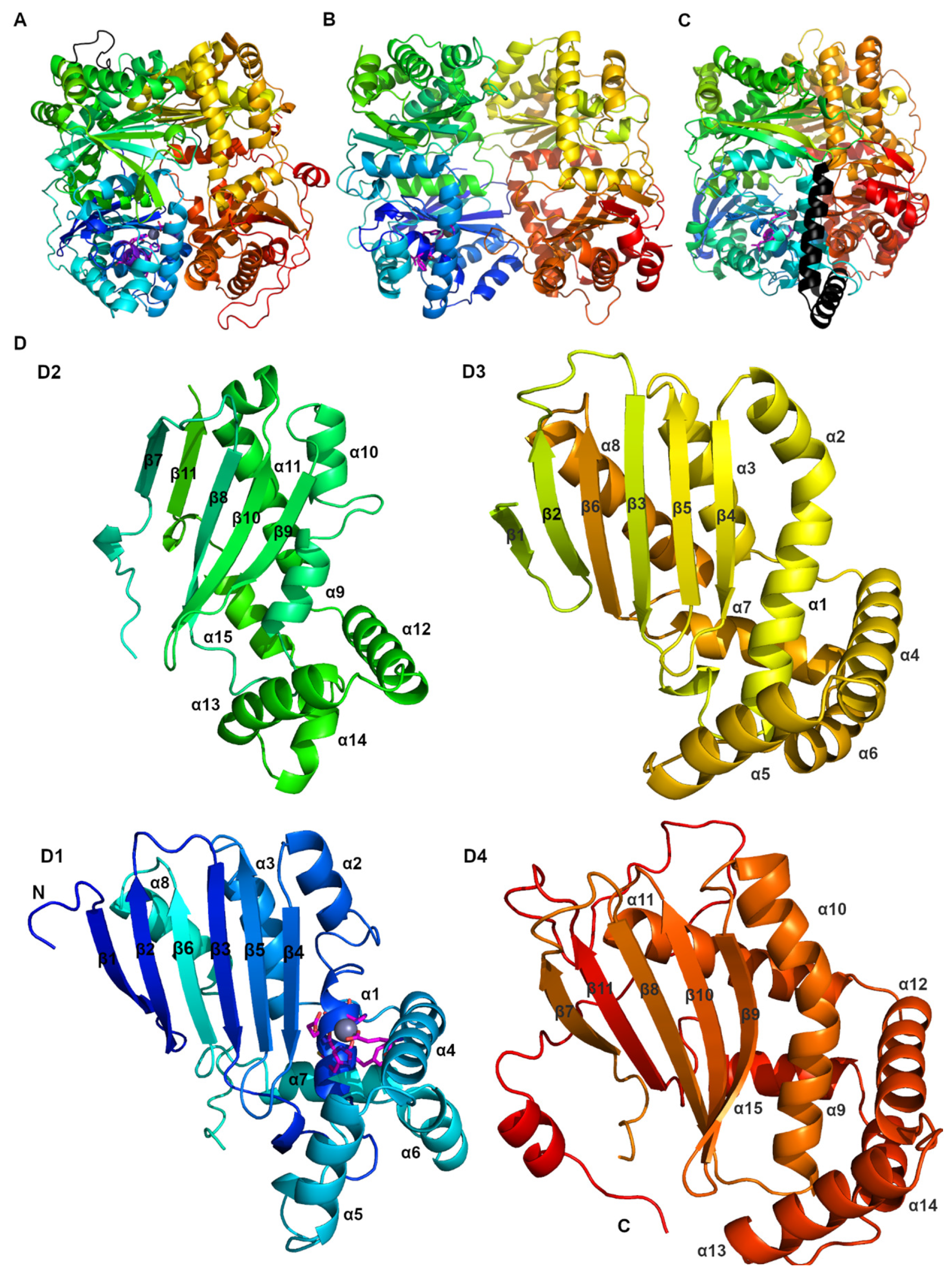 Biomolecules 15 01697 g002 Biomolecules 15 01697 g002