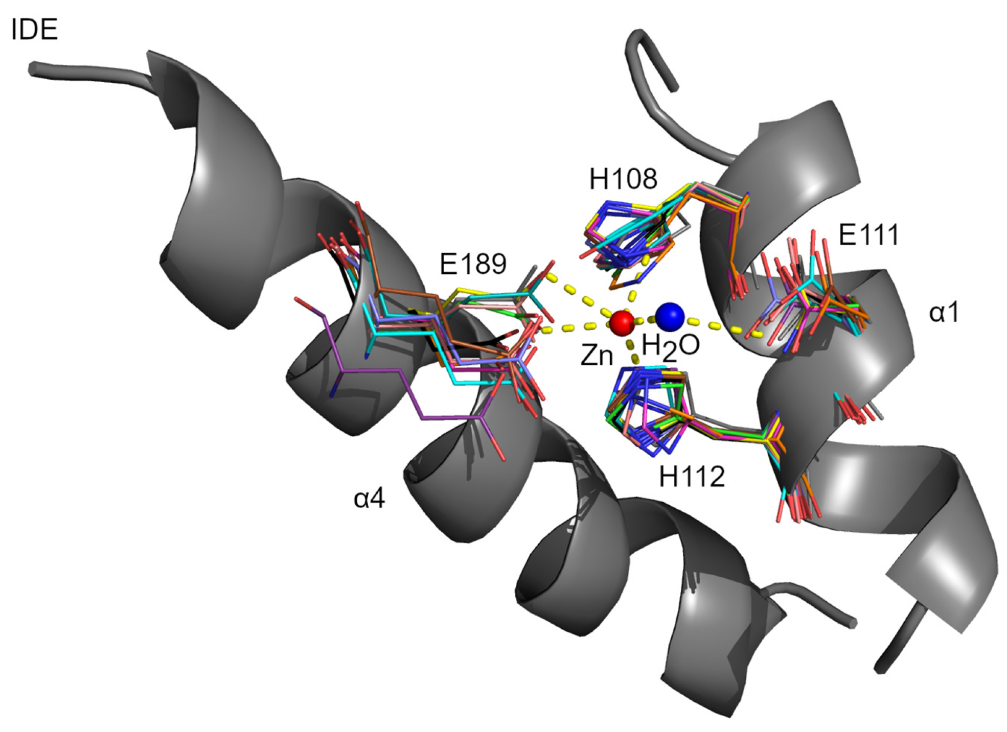 Biomolecules 15 01697 g003 Biomolecules 15 01697 g003