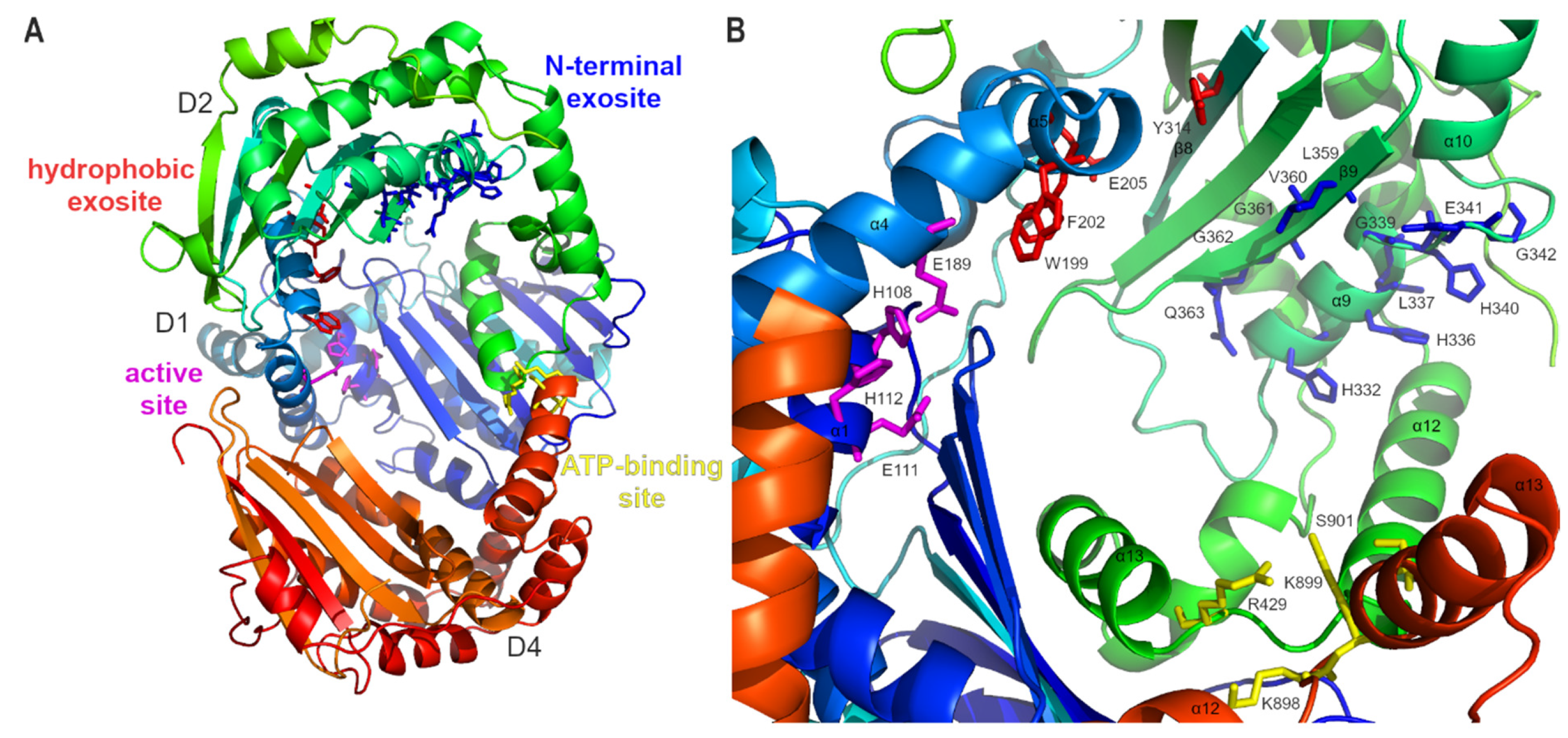 Biomolecules 15 01697 g006 Biomolecules 15 01697 g006