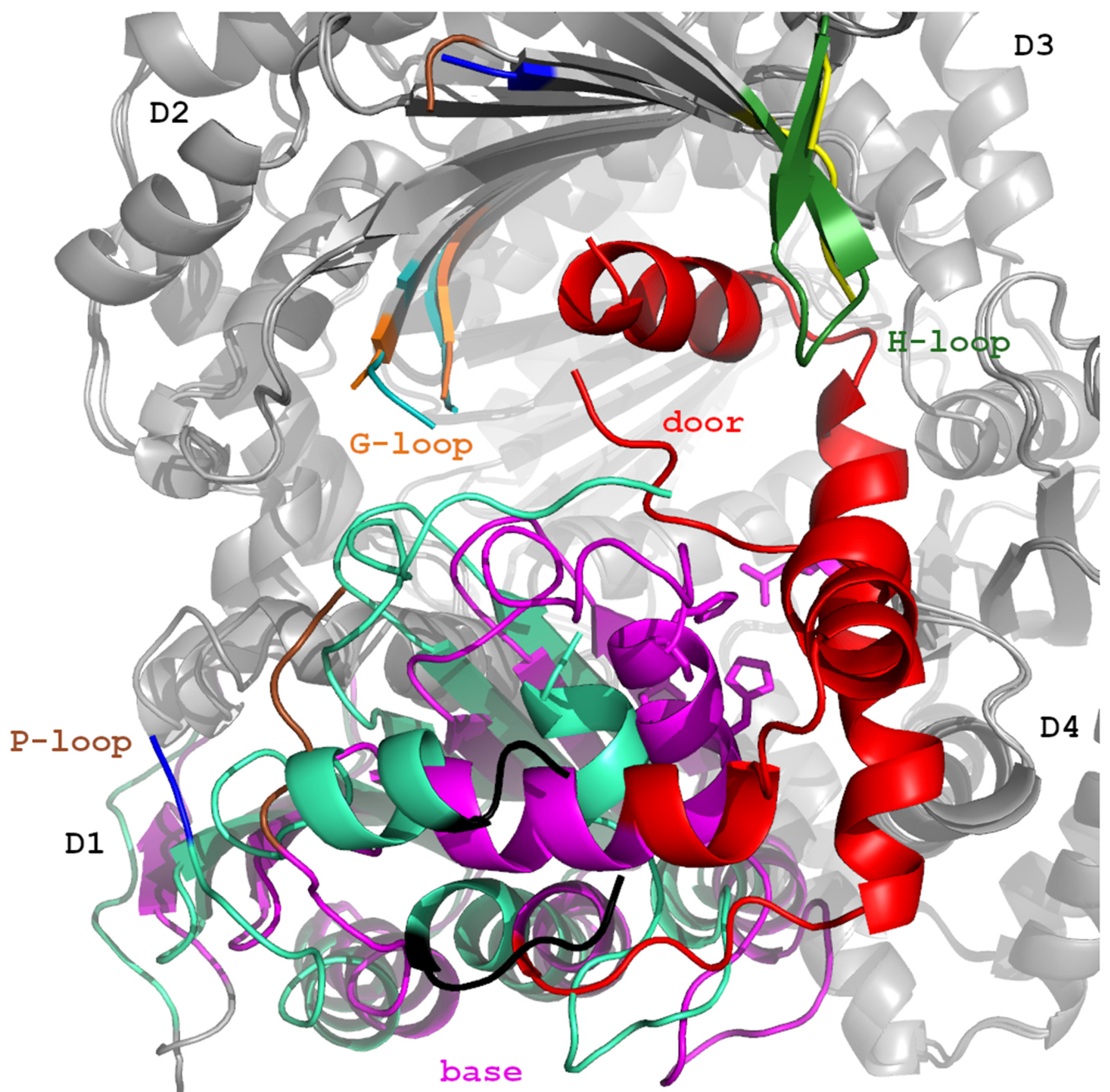 Biomolecules 15 01697 g009 Biomolecules 15 01697 g009