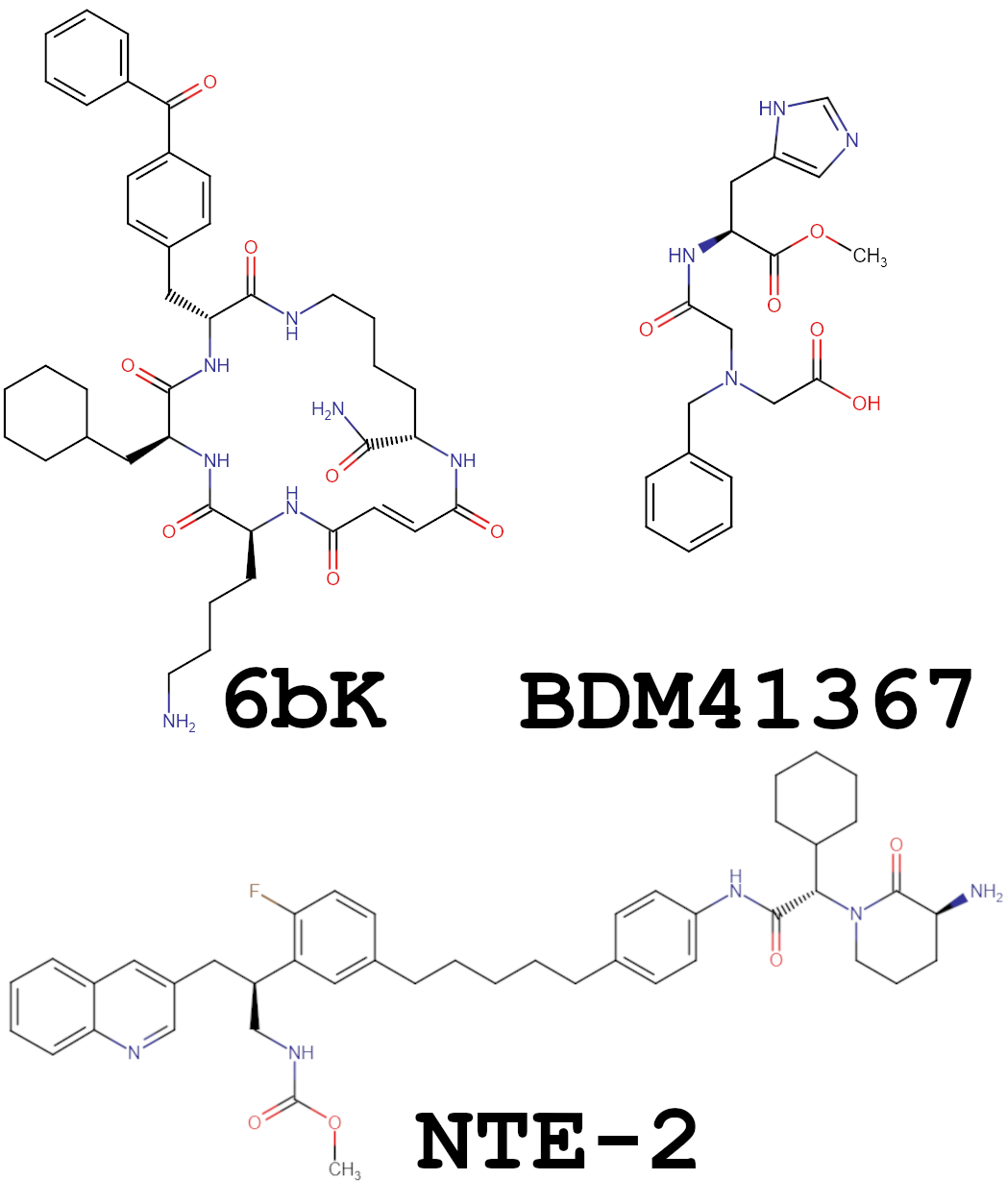 Biomolecules 15 01697 g010 Biomolecules 15 01697 g010