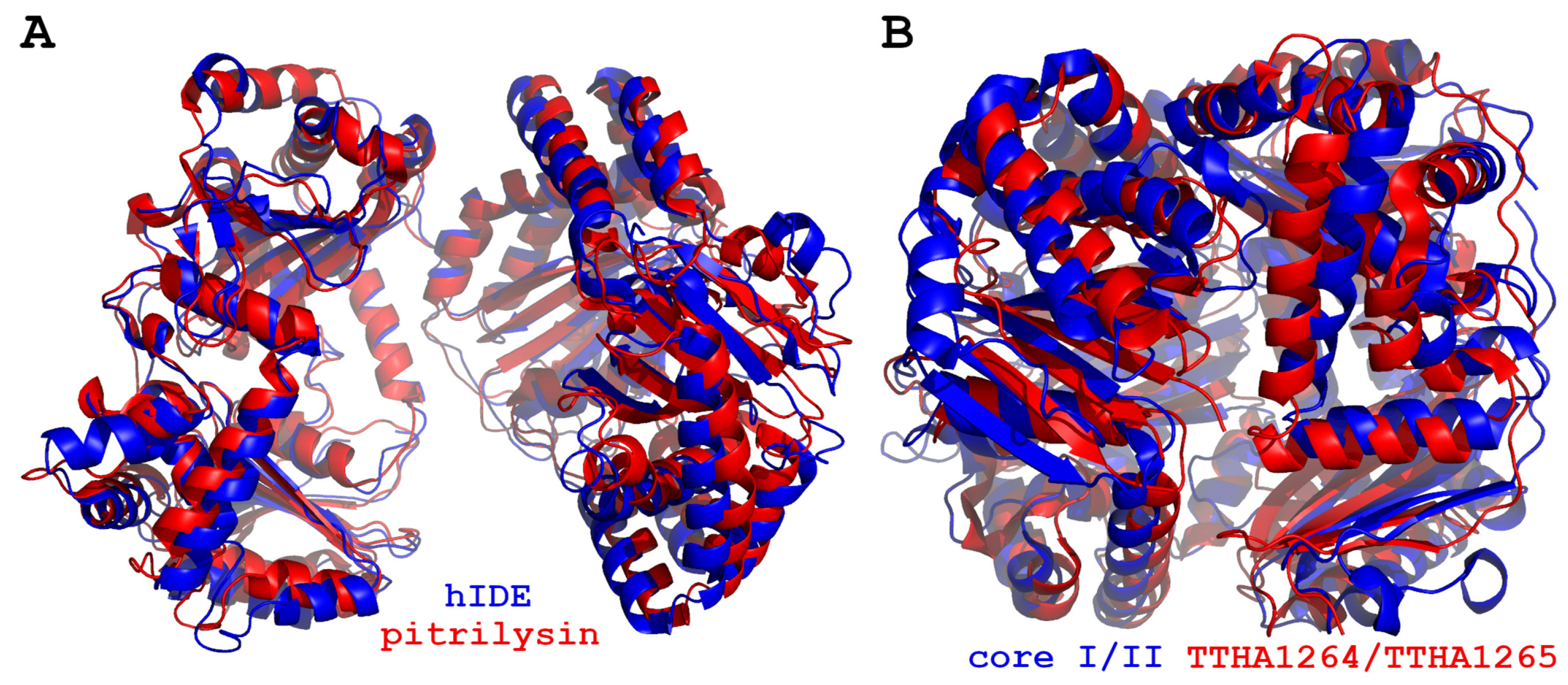 Biomolecules 15 01697 g012 Biomolecules 15 01697 g012