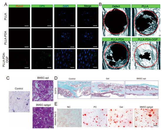 Biomolecules 15 01700 g003