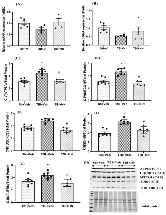 Biomolecules 15 01705 g004