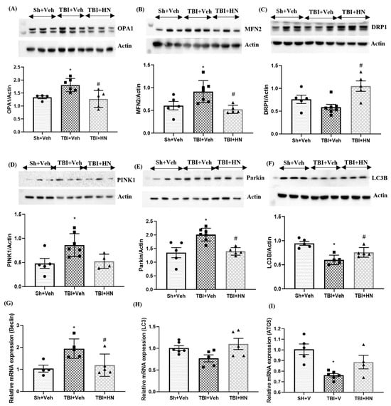 Biomolecules 15 01705 g005