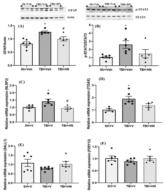 Biomolecules 15 01705 g006