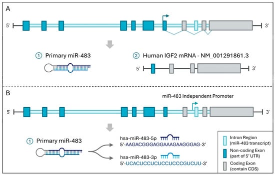 Biomolecules 15 01707 g002