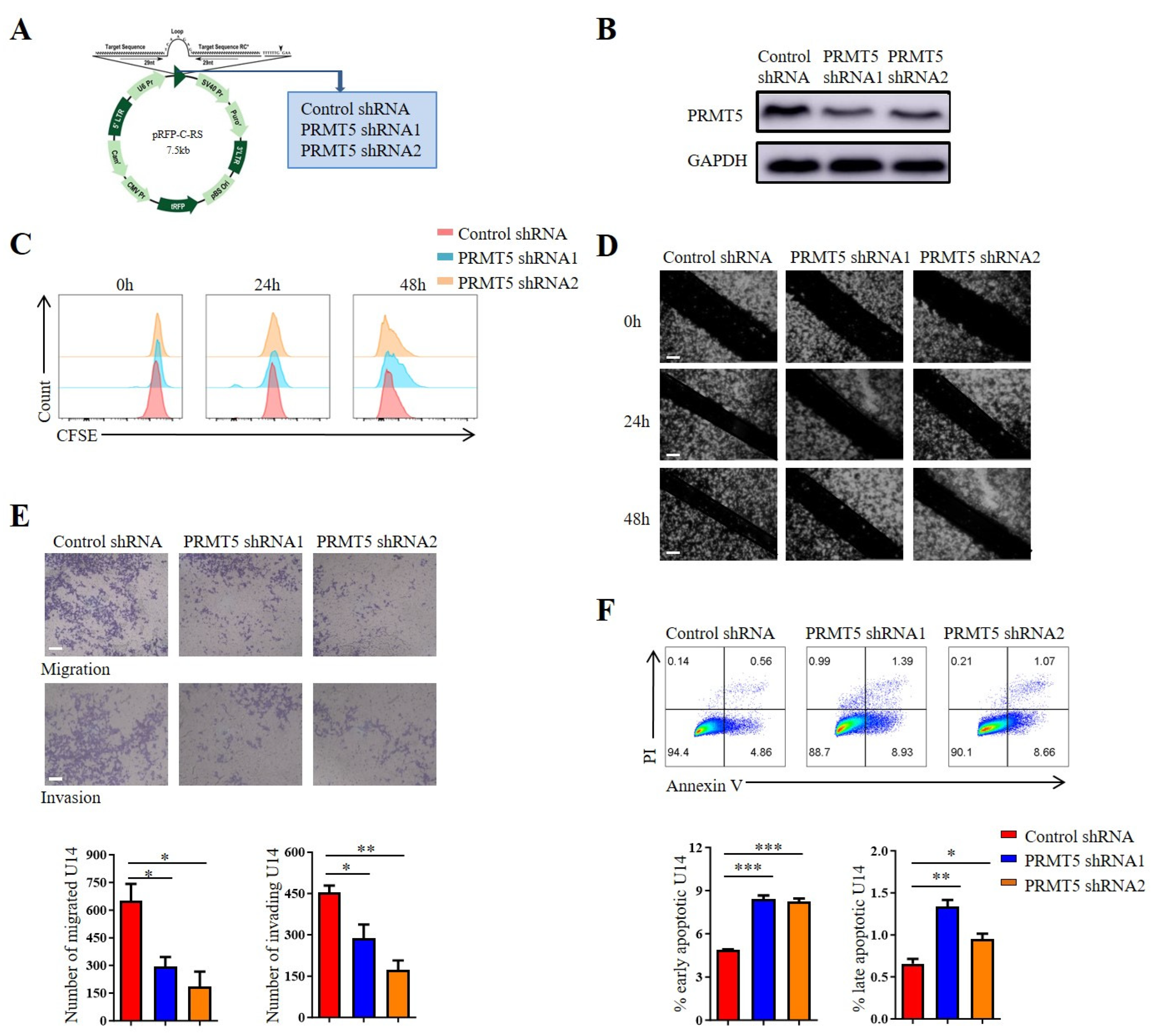 Biomolecules 15 01717 g002