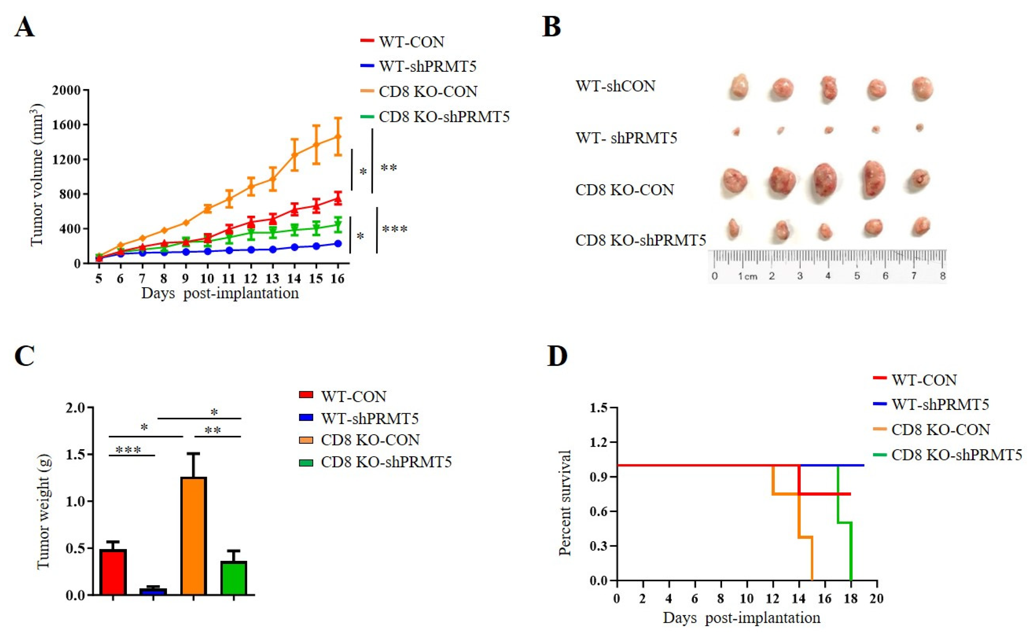 Biomolecules 15 01717 g003