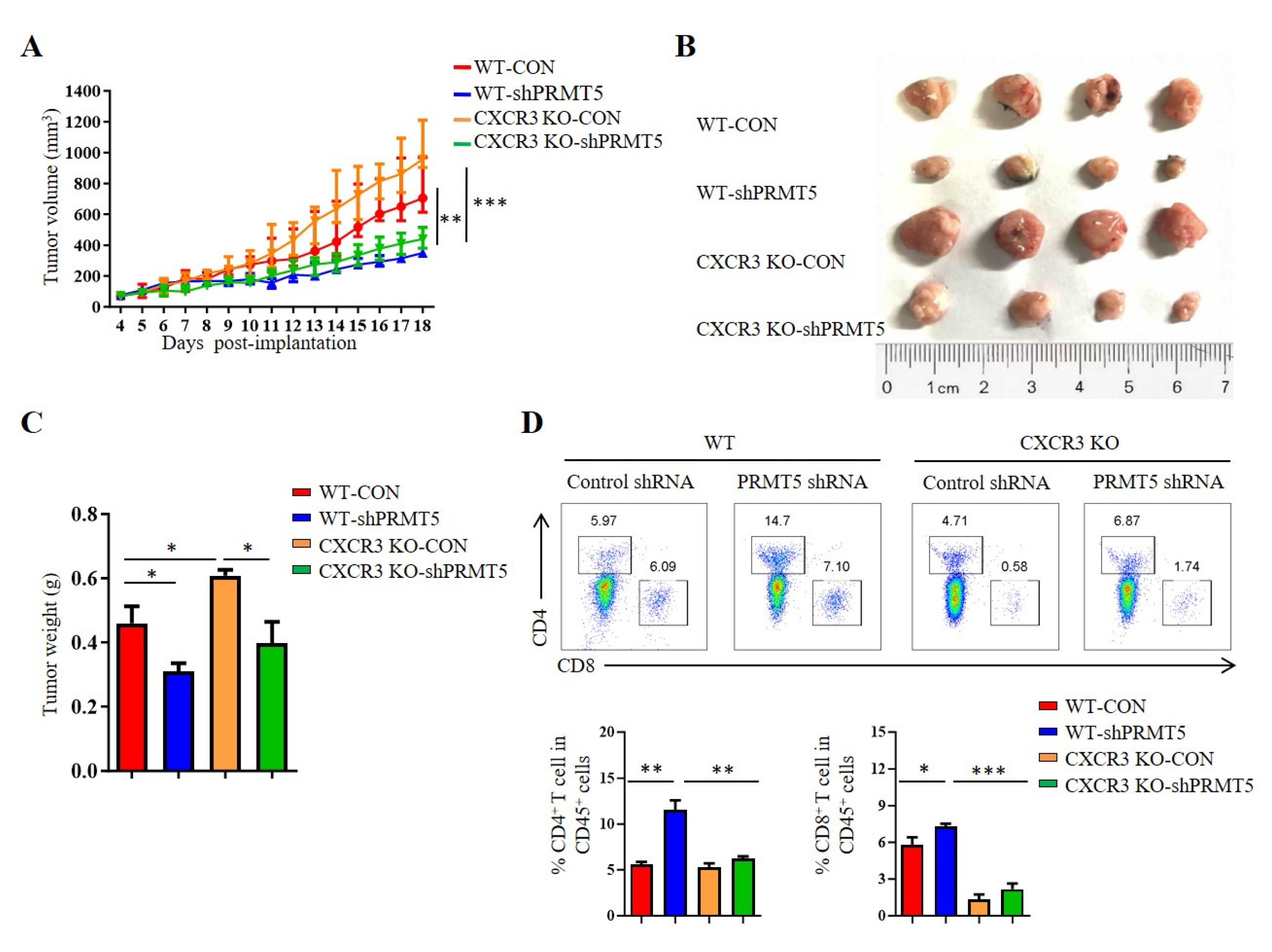 Biomolecules 15 01717 g005