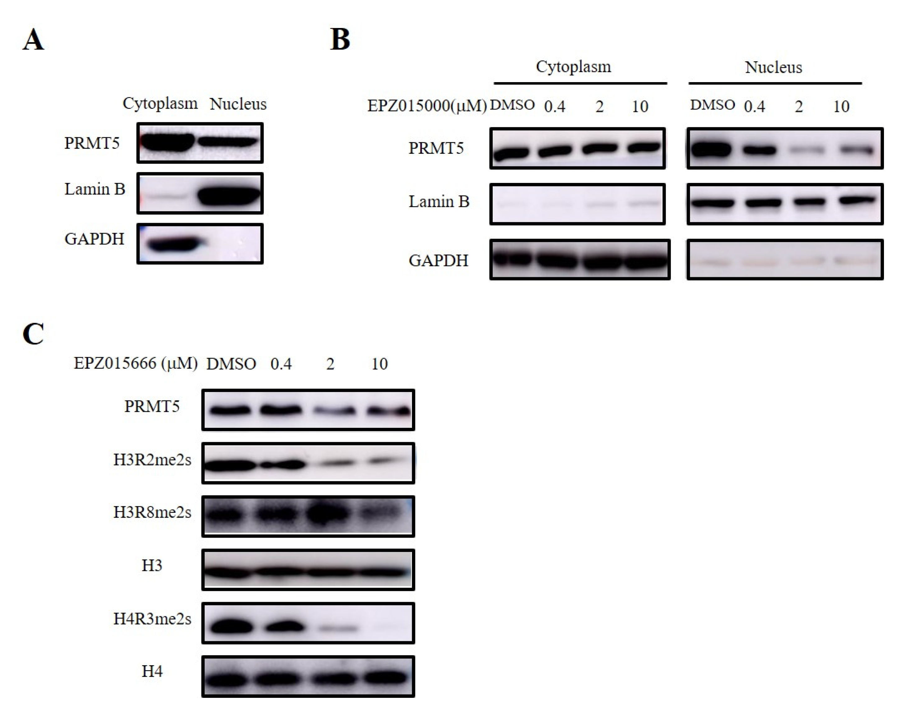 Biomolecules 15 01717 g006