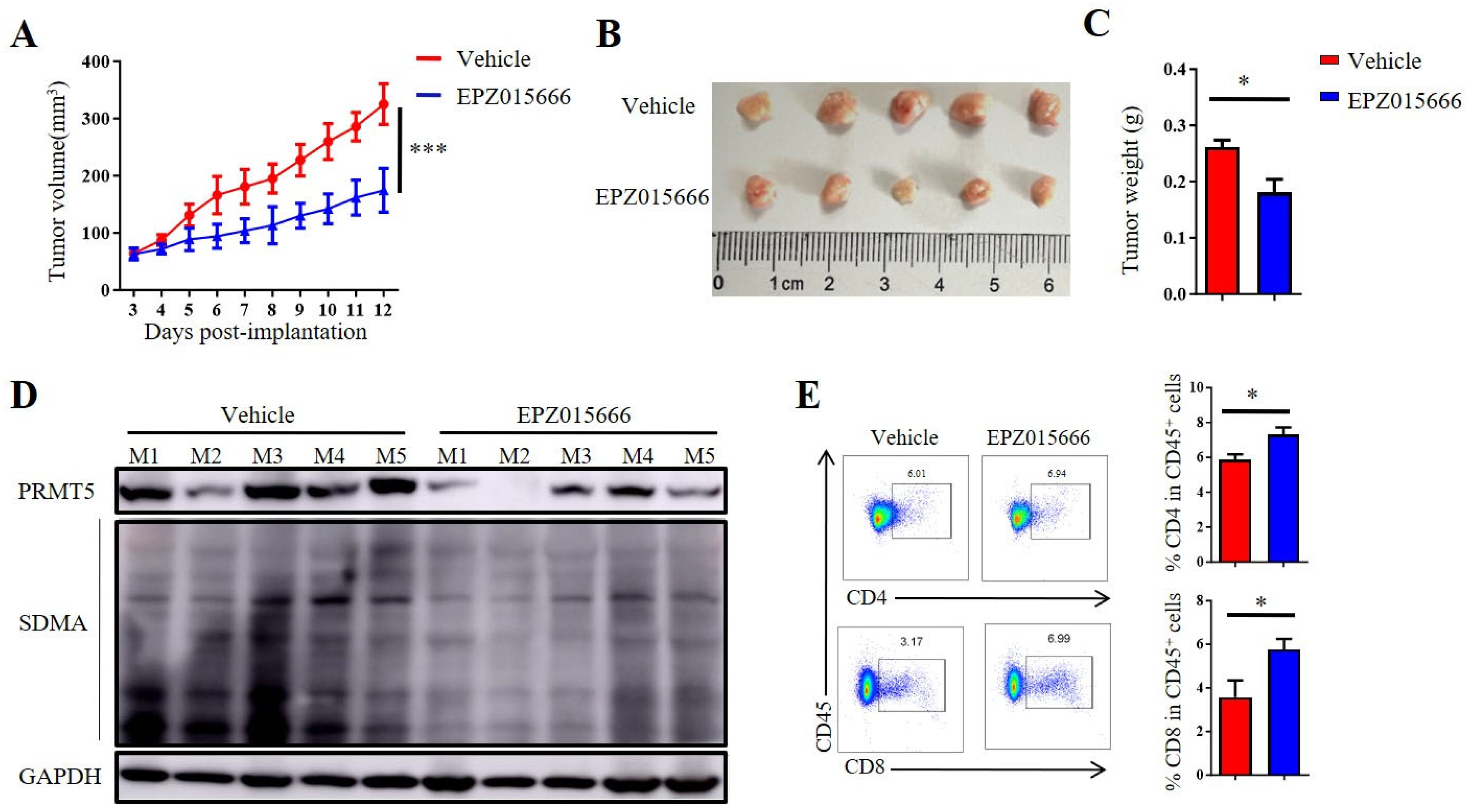 Biomolecules 15 01717 g007a