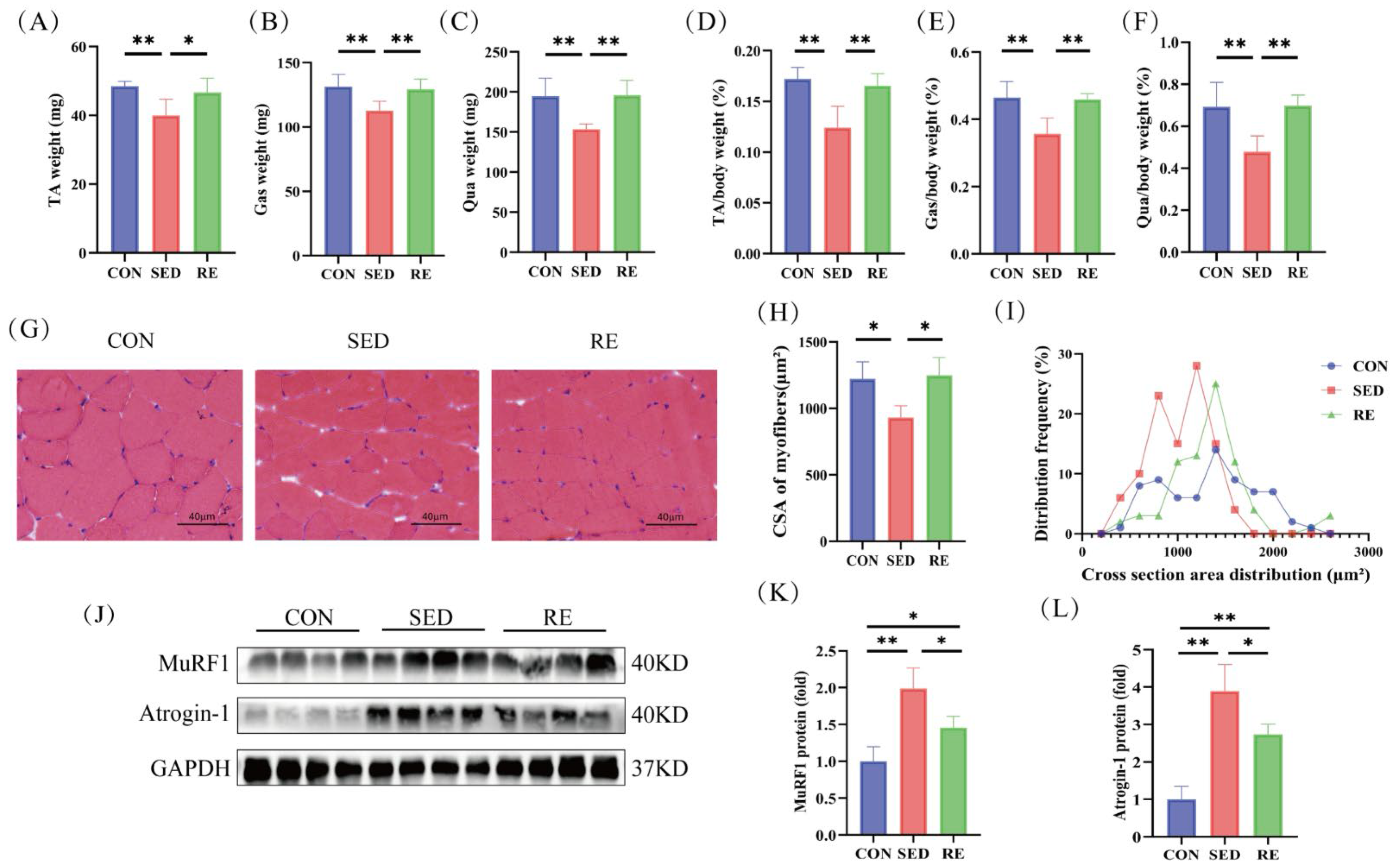 Biomolecules 16 00003 g002