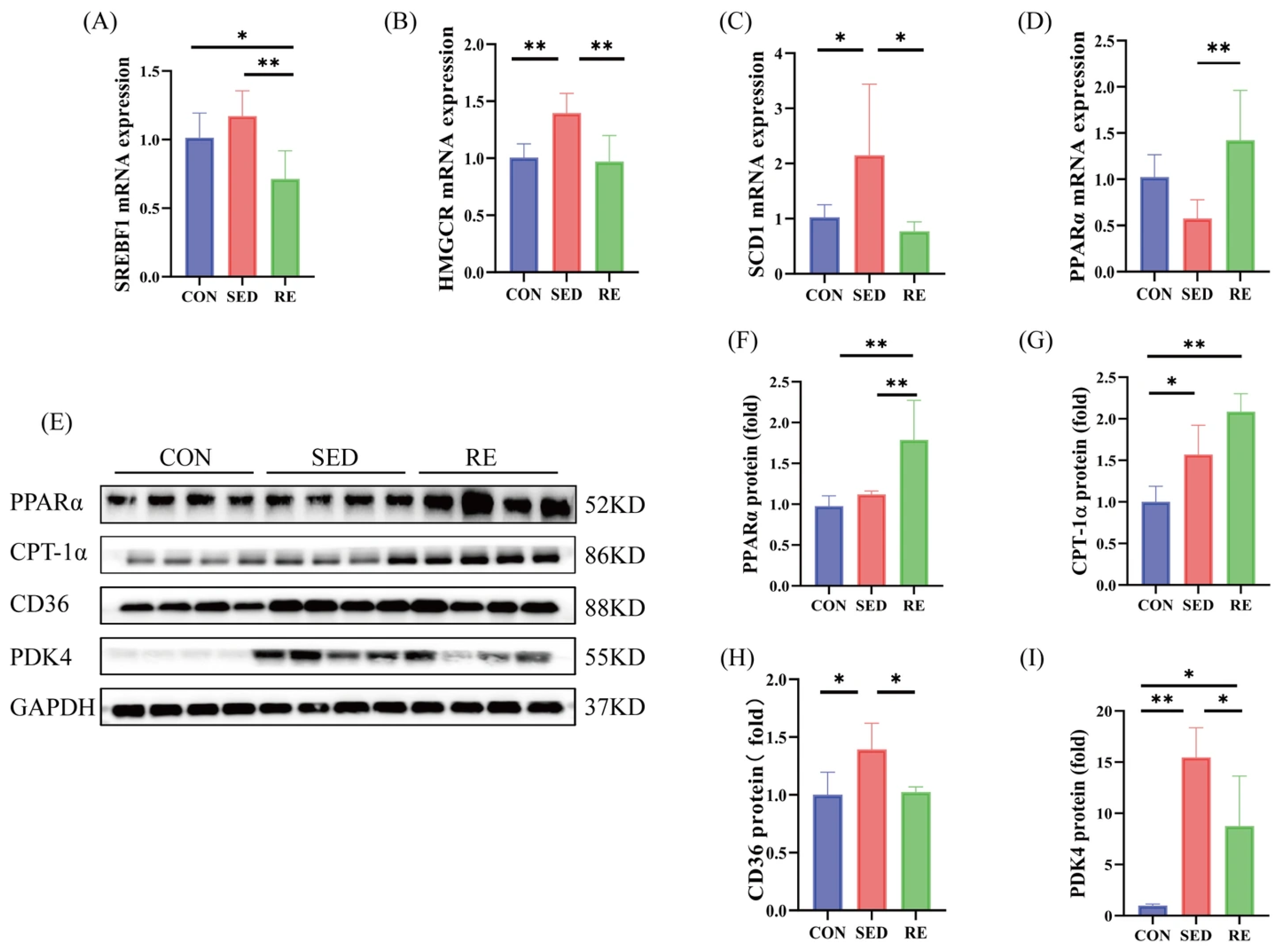 Biomolecules 16 00003 g005
