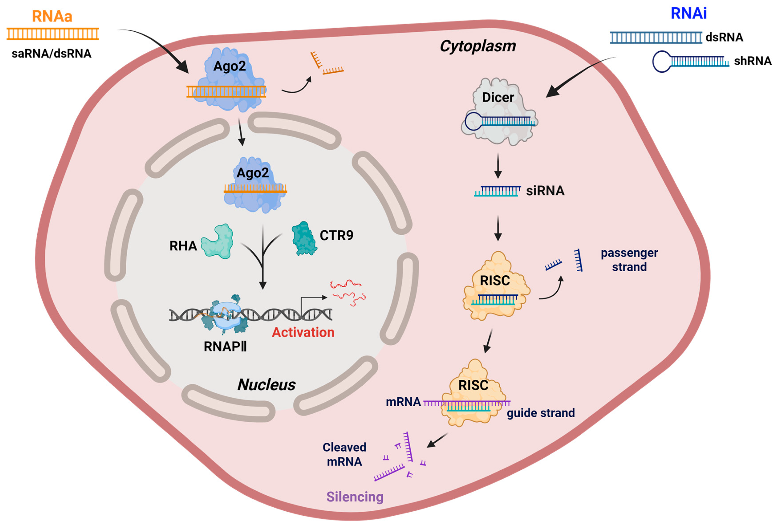 Biomolecules 16 00005 g001
