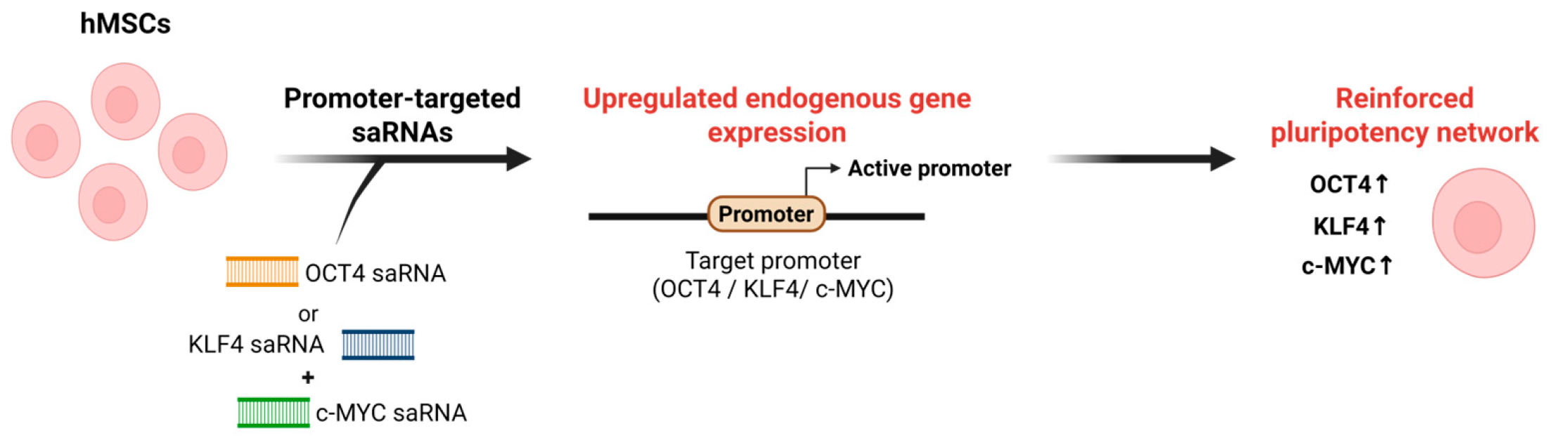 Biomolecules 16 00005 g003