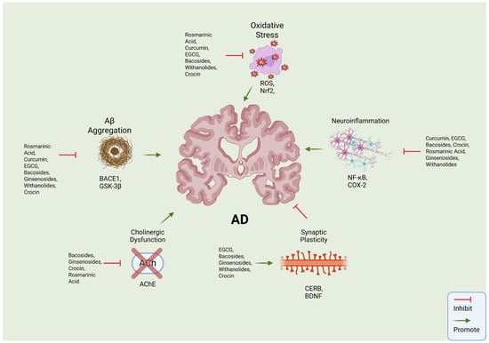 Biomolecules 16 00007 g001