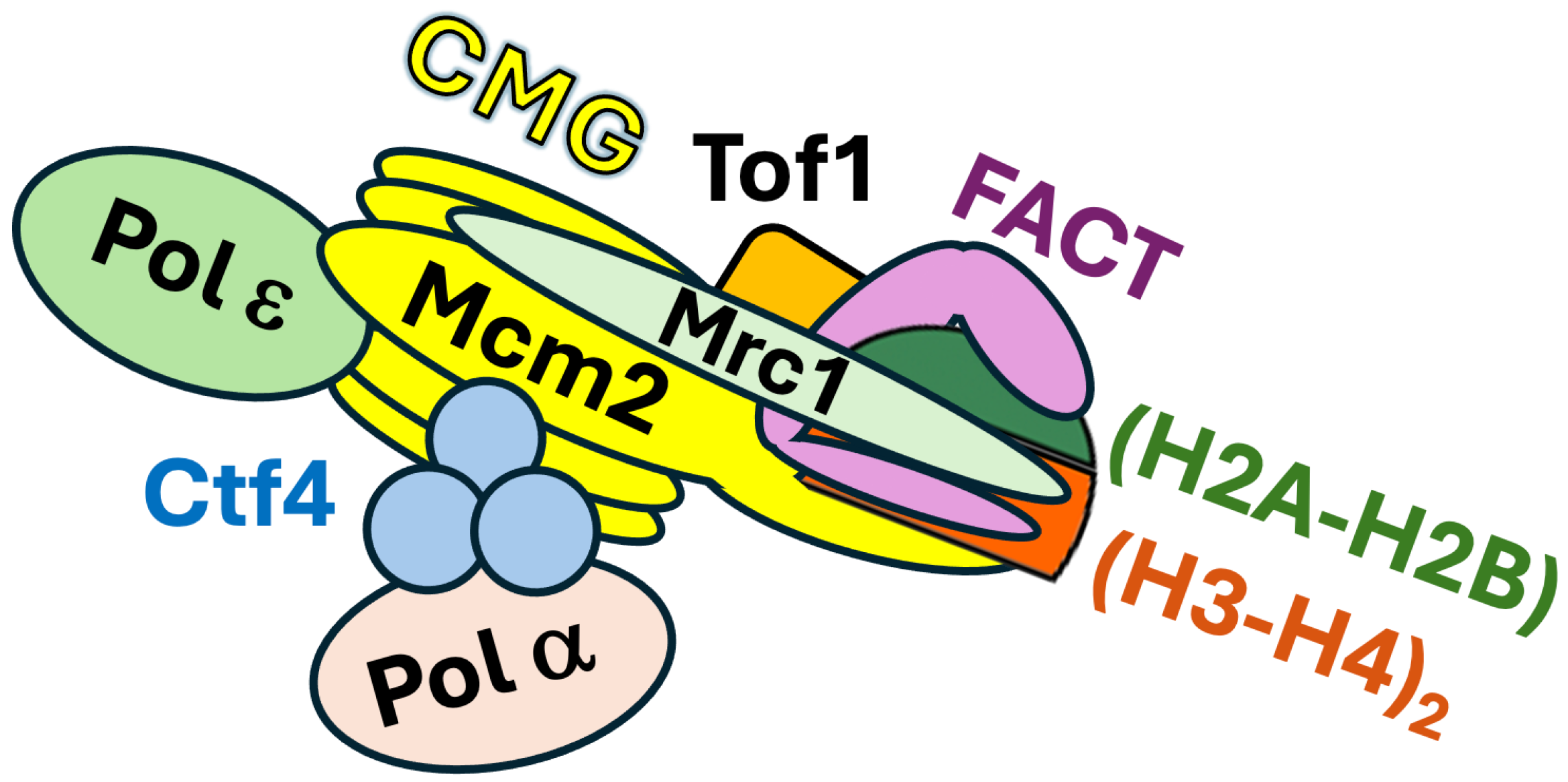Biomolecules 16 00013 g003