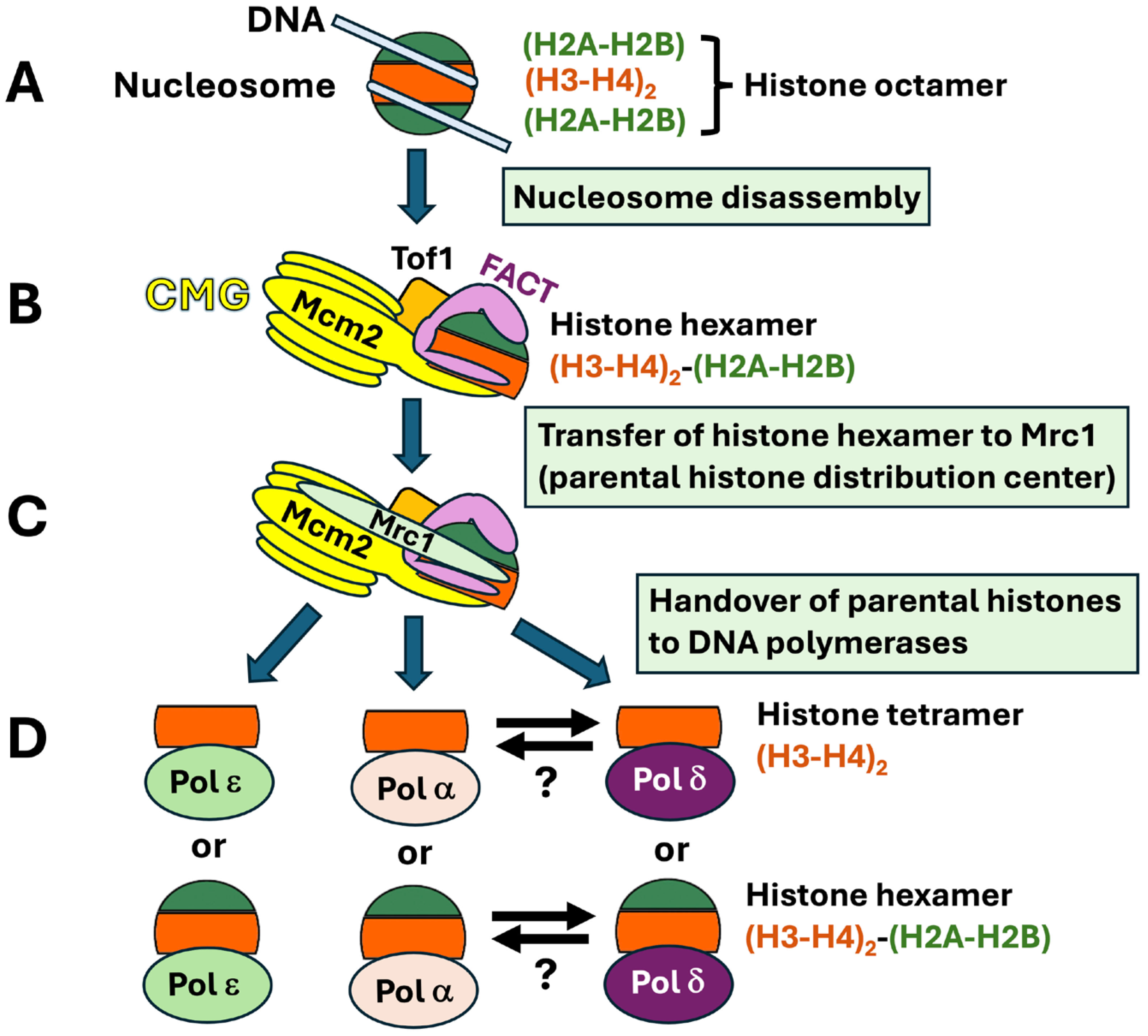 Biomolecules 16 00013 g004